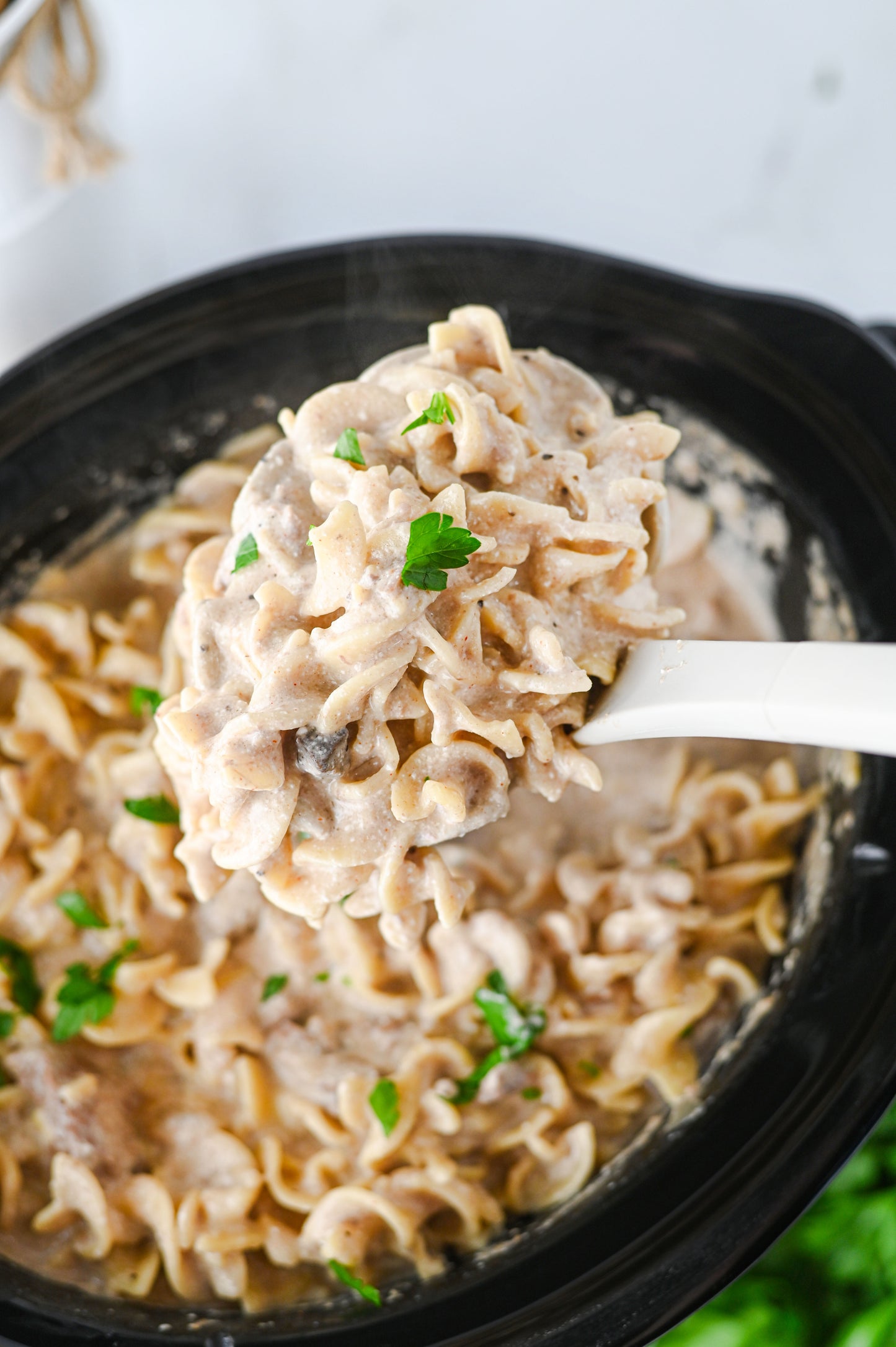Crock Pot Beef Stroganoff Set #2