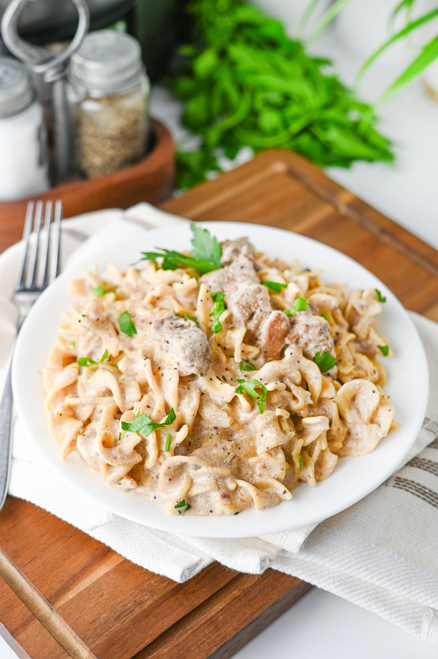 Crock Pot Beef Stroganoff Set #2