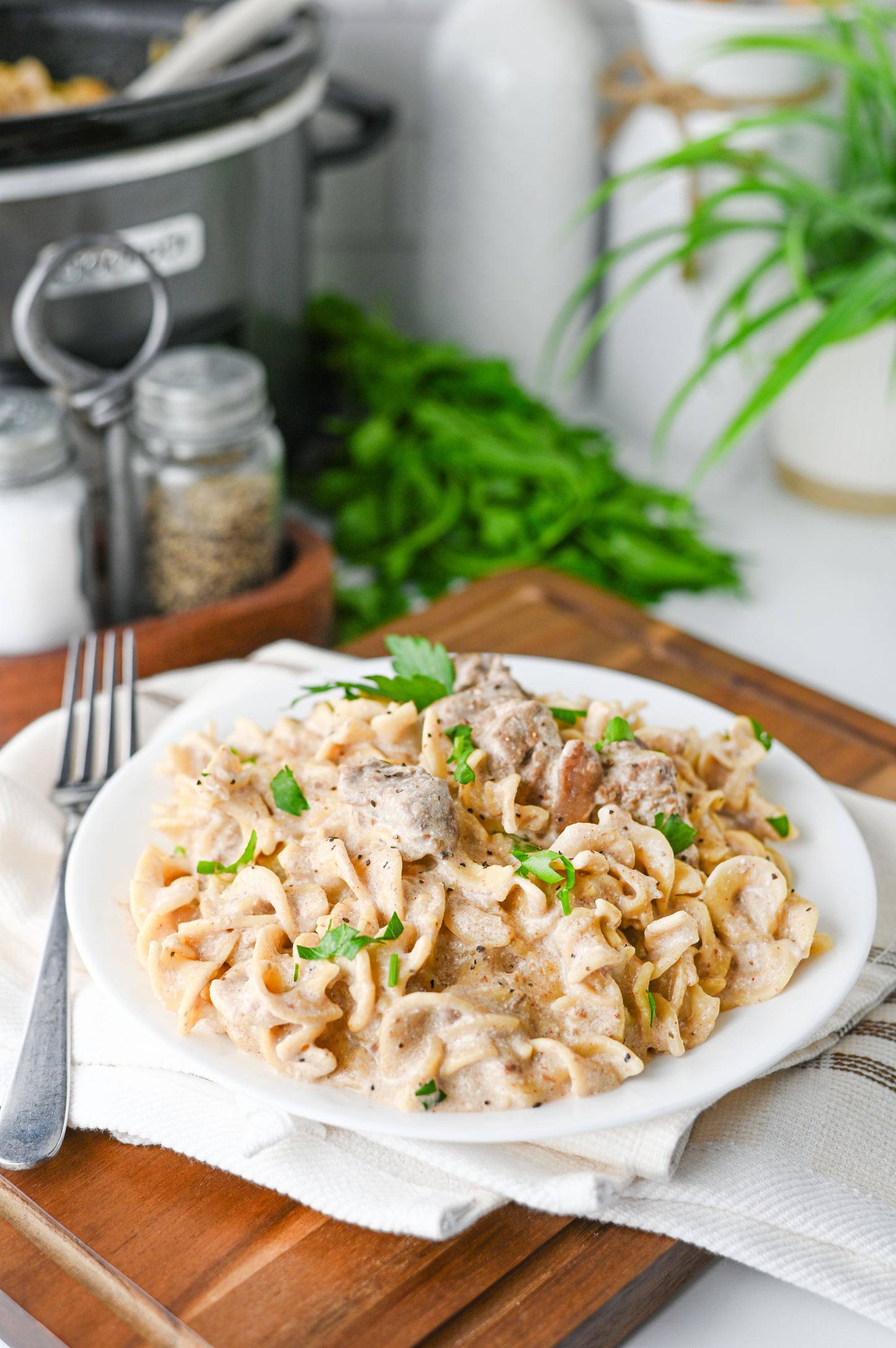 Crock Pot Beef Stroganoff Set #2