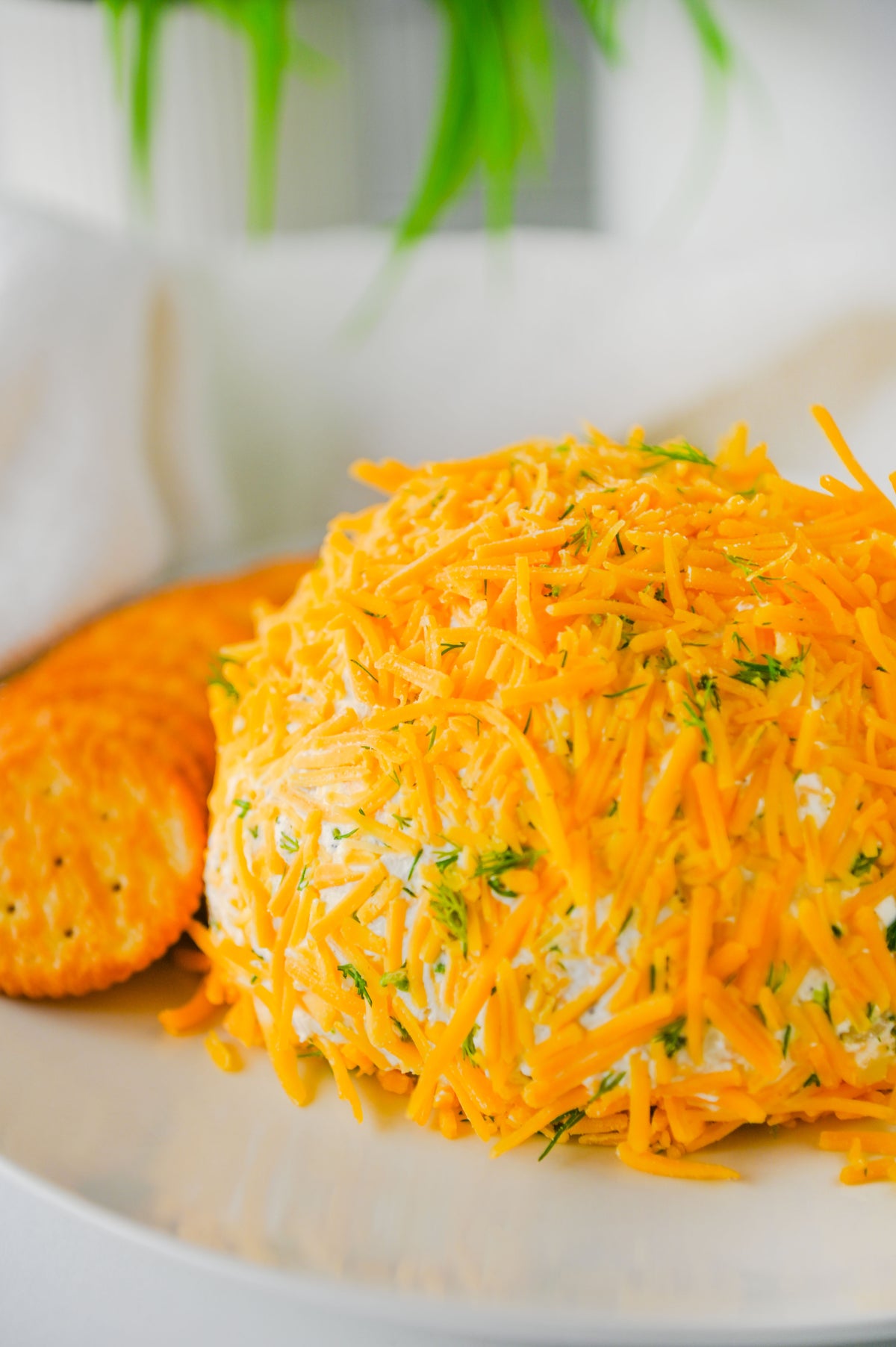 Dill Pickle Cheese Ball Set #2