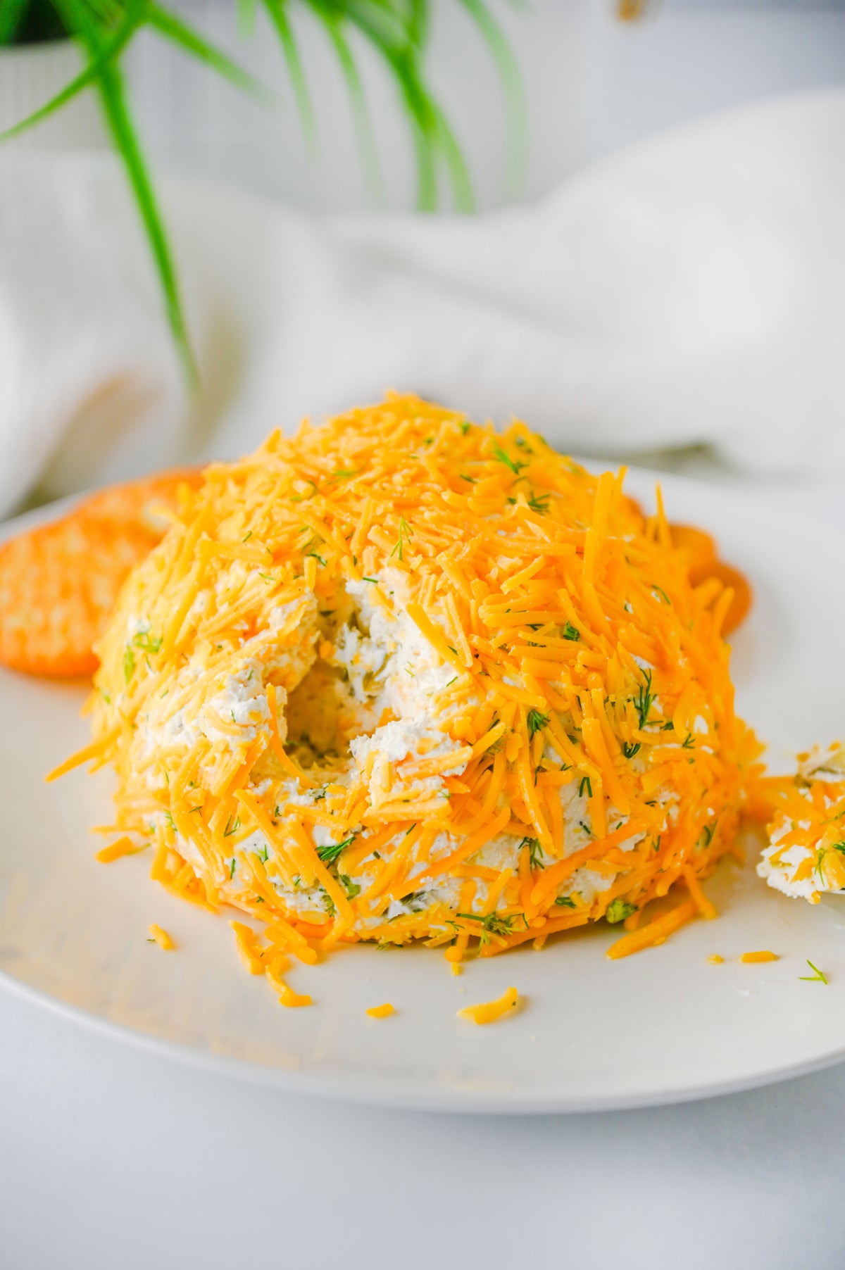 Dill Pickle Cheese Ball Set #2