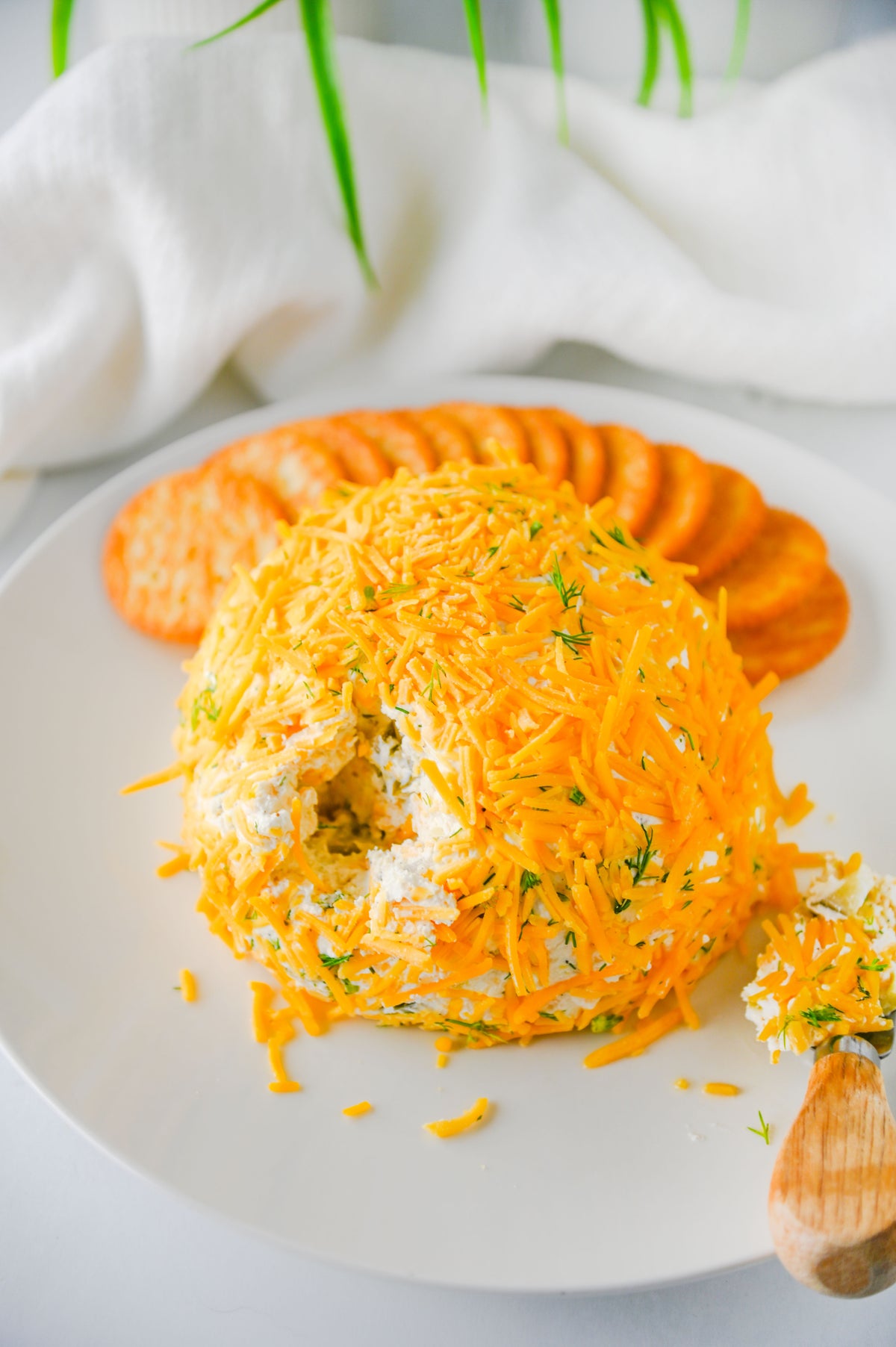 Dill Pickle Cheese Ball Set #2
