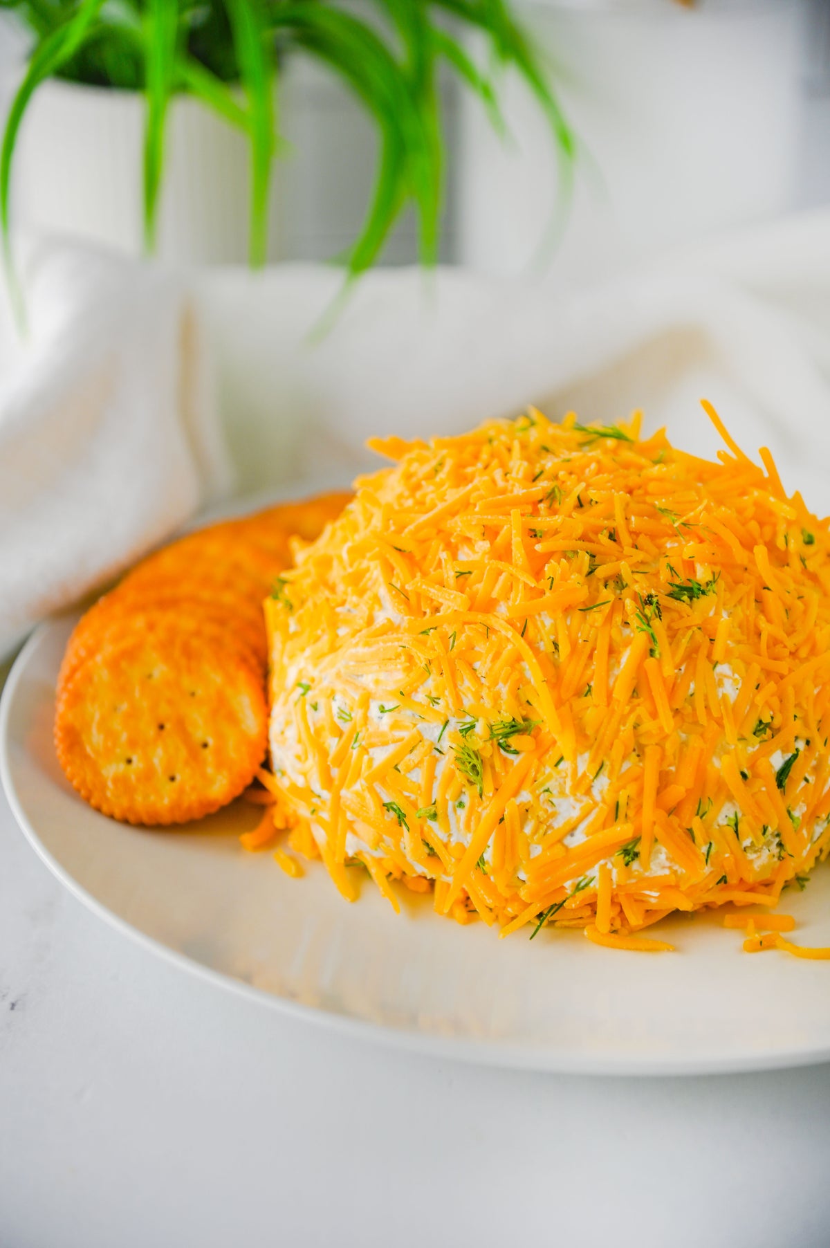 Dill Pickle Cheese Ball Set #2