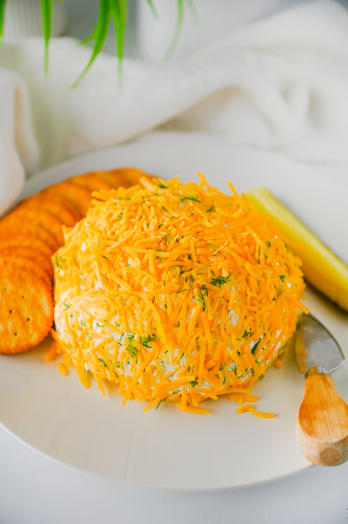 Dill Pickle Cheese Ball Set #2