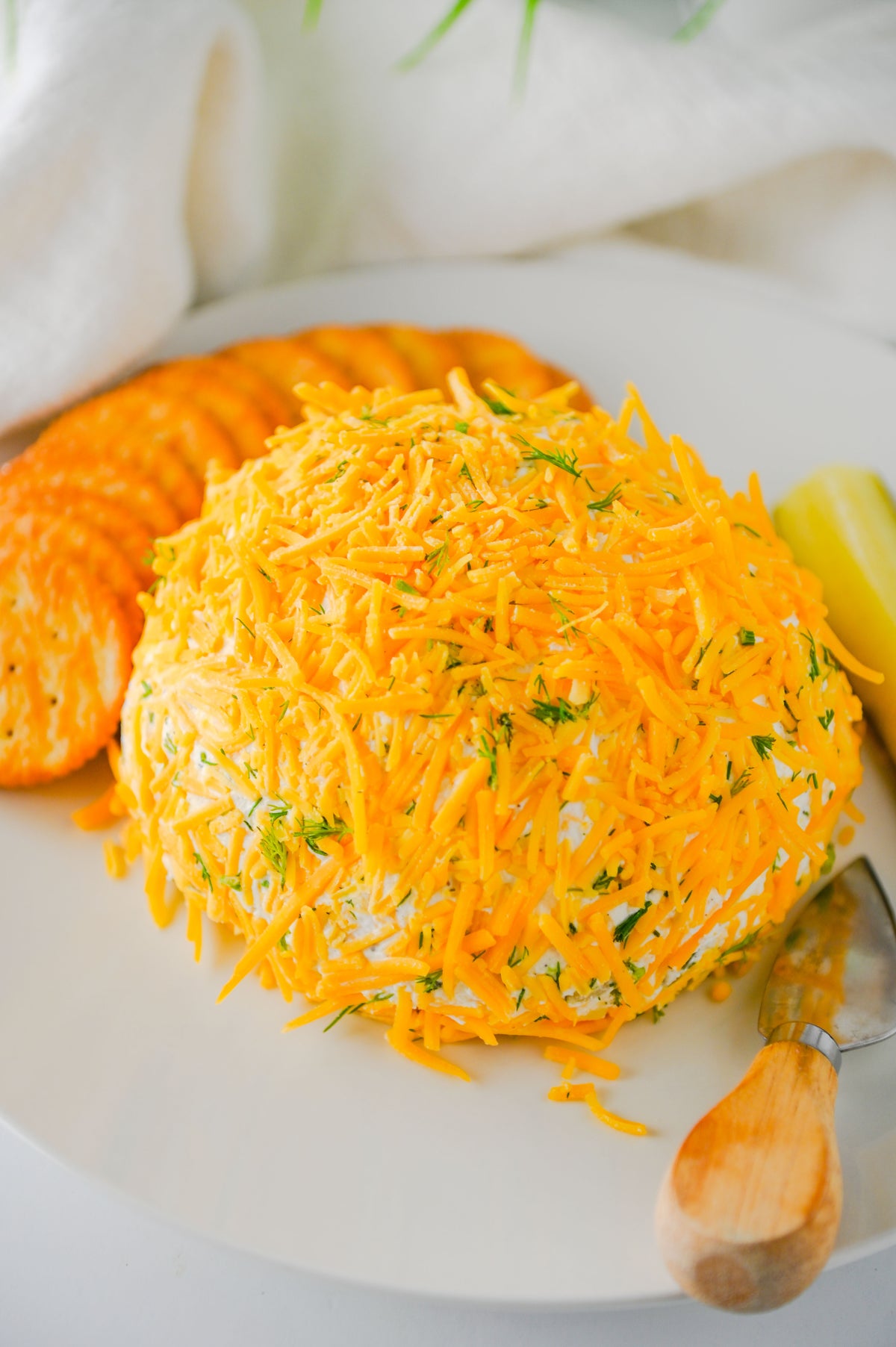 Dill Pickle Cheese Ball Set #2