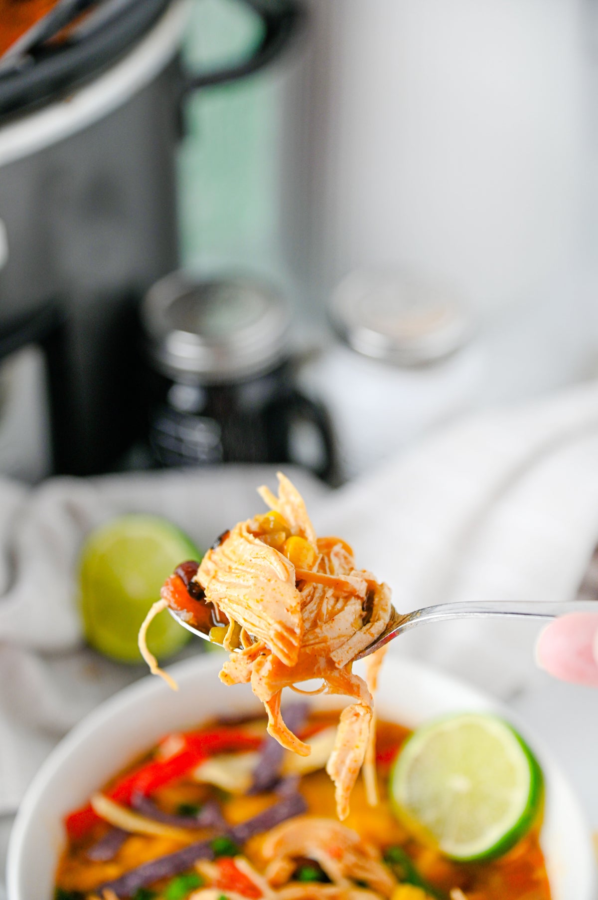 Slow Cooker Enchilada Soup Set #2