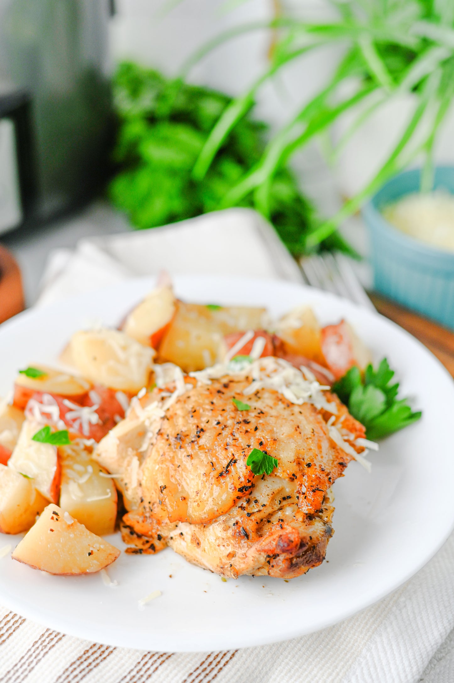 Slow Cooker Garlic Parmesan Chicken and Potatoes Set #2