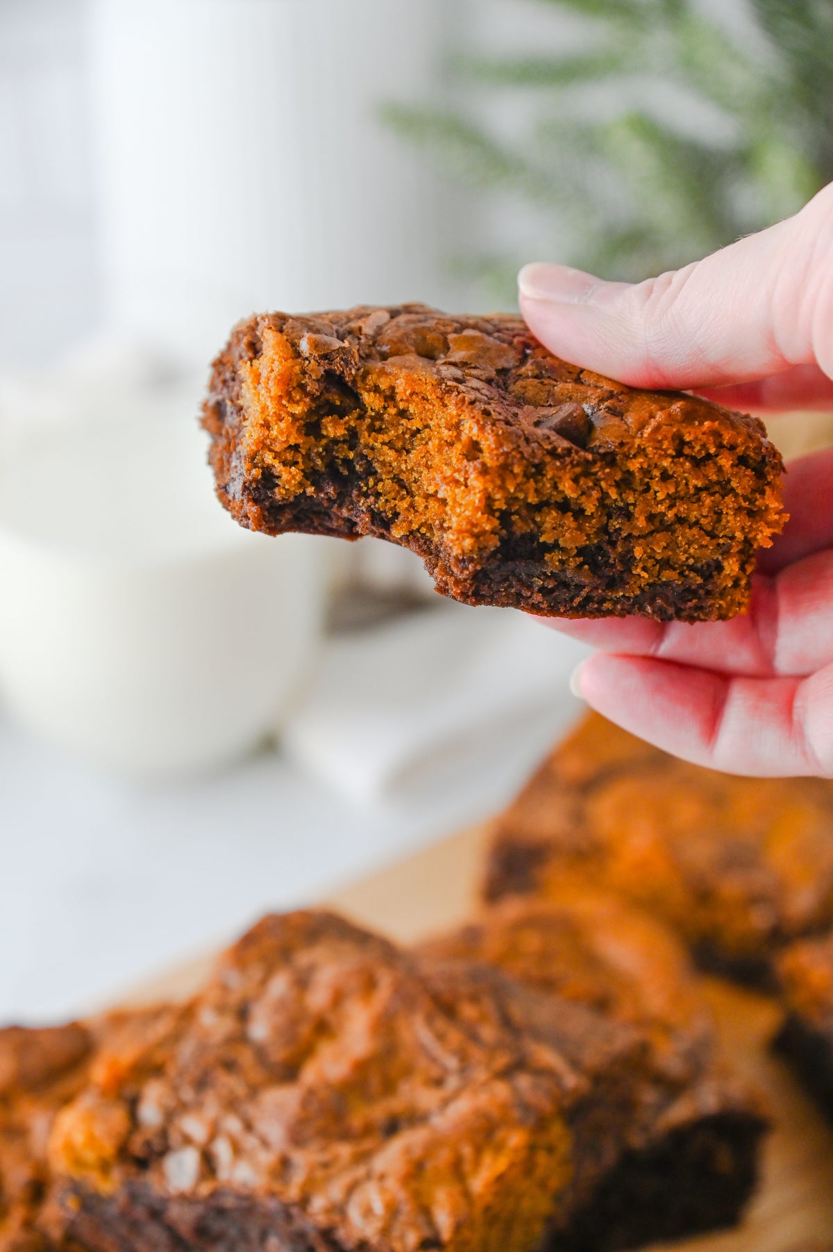 Gingerbread Brownies Set #2
