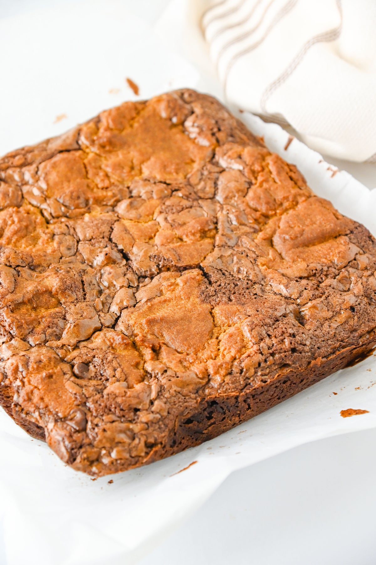 Gingerbread Brownies Set #2