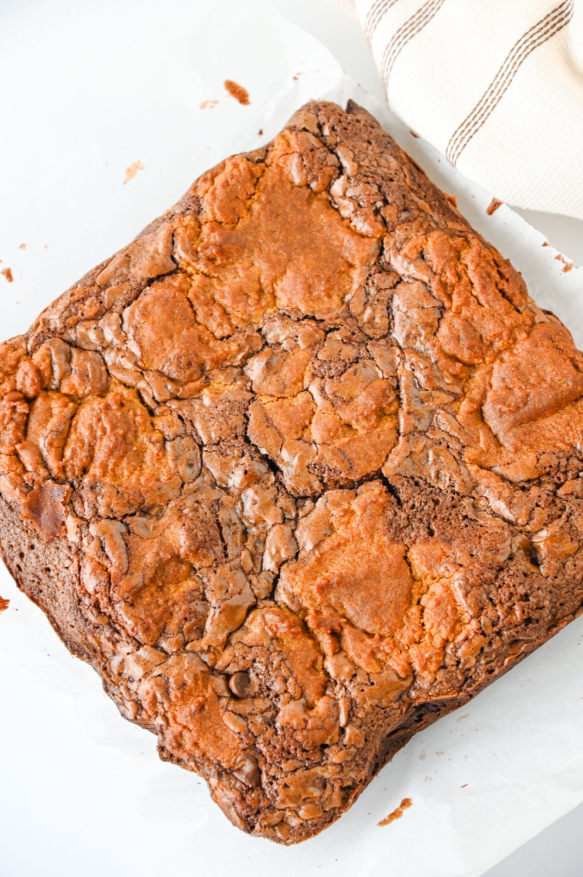Gingerbread Brownies Set #2
