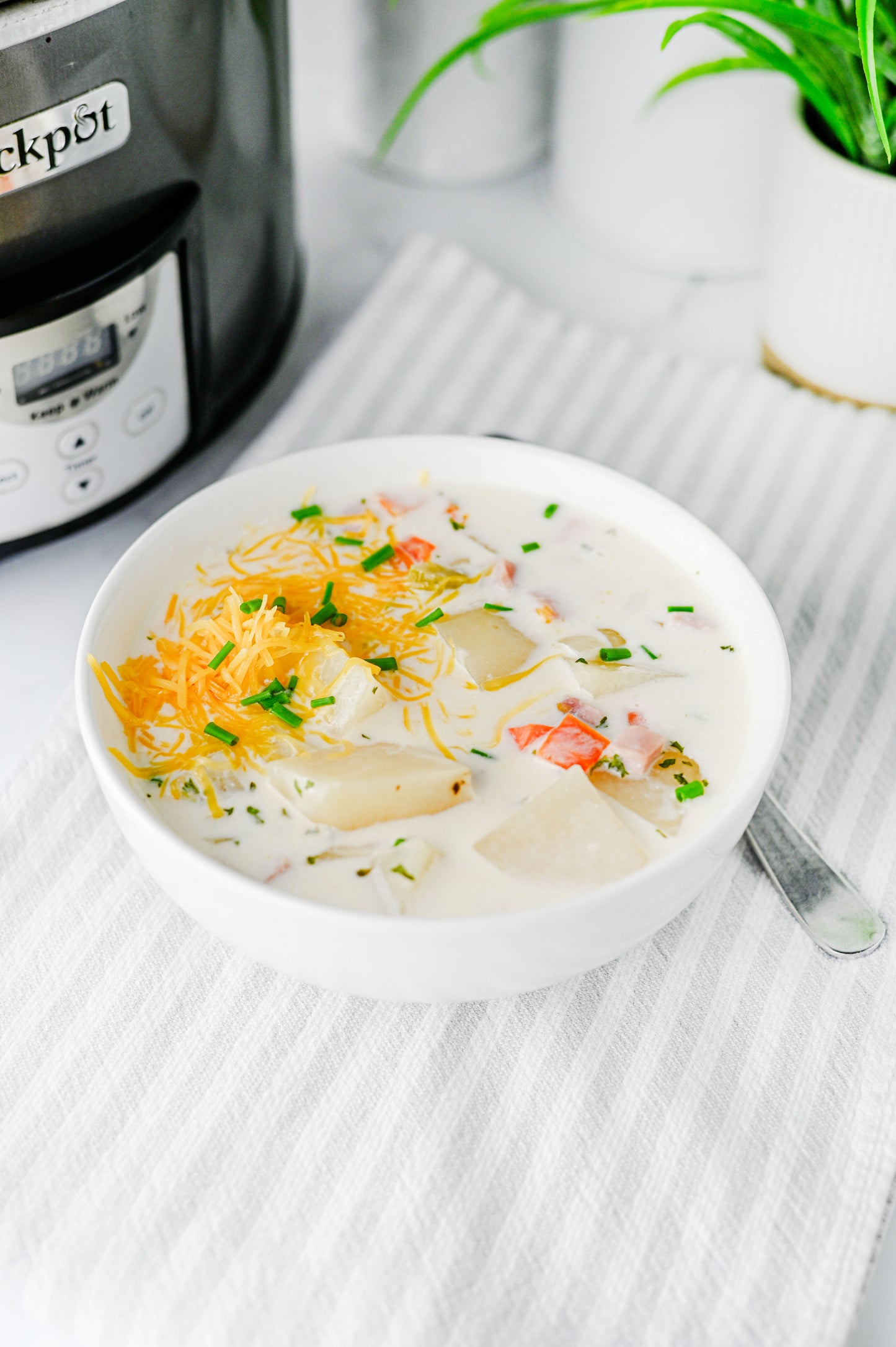 Slow Cooker Ham and Potato Soup Set #2