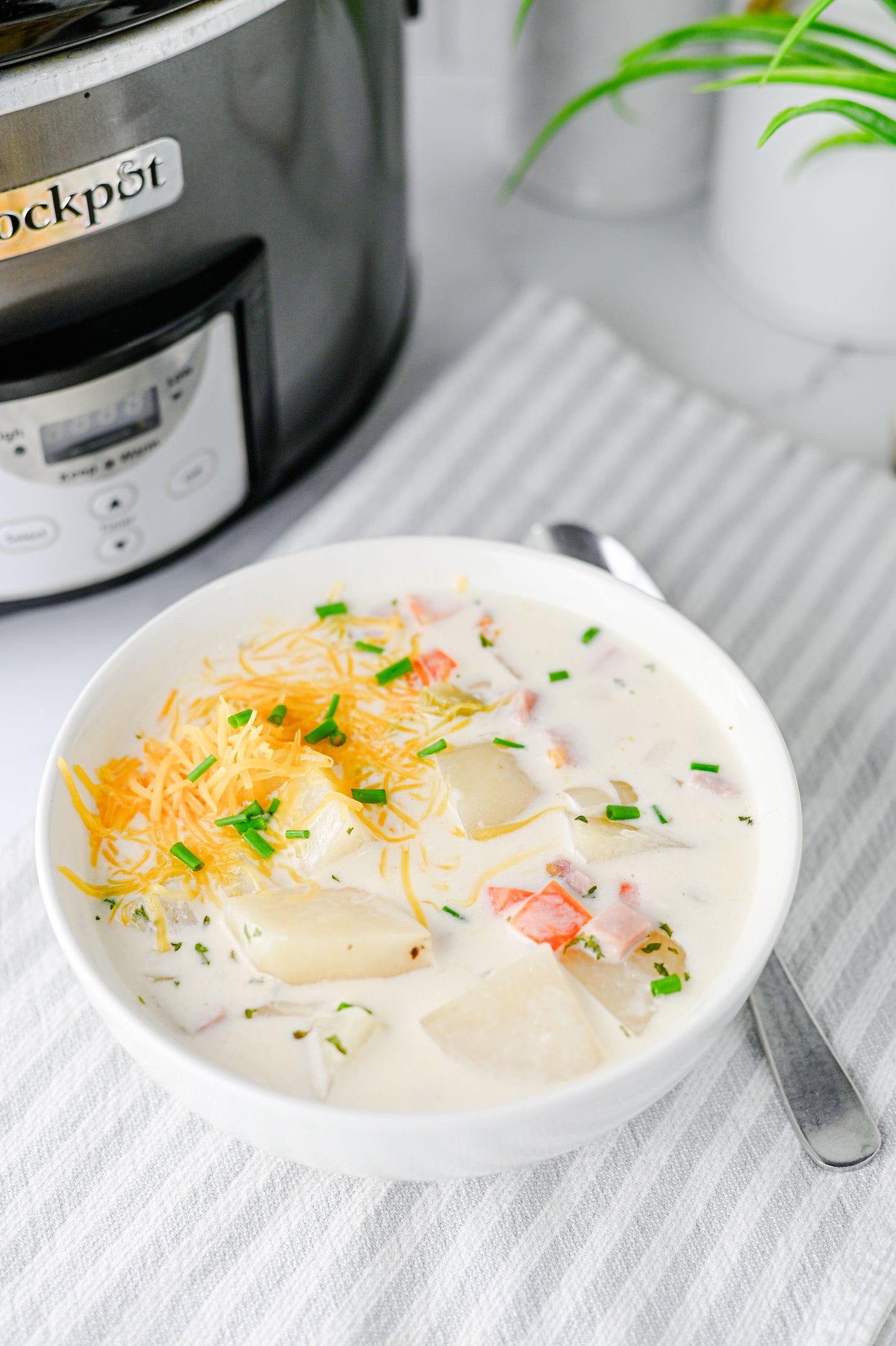 Slow Cooker Ham and Potato Soup Set #2
