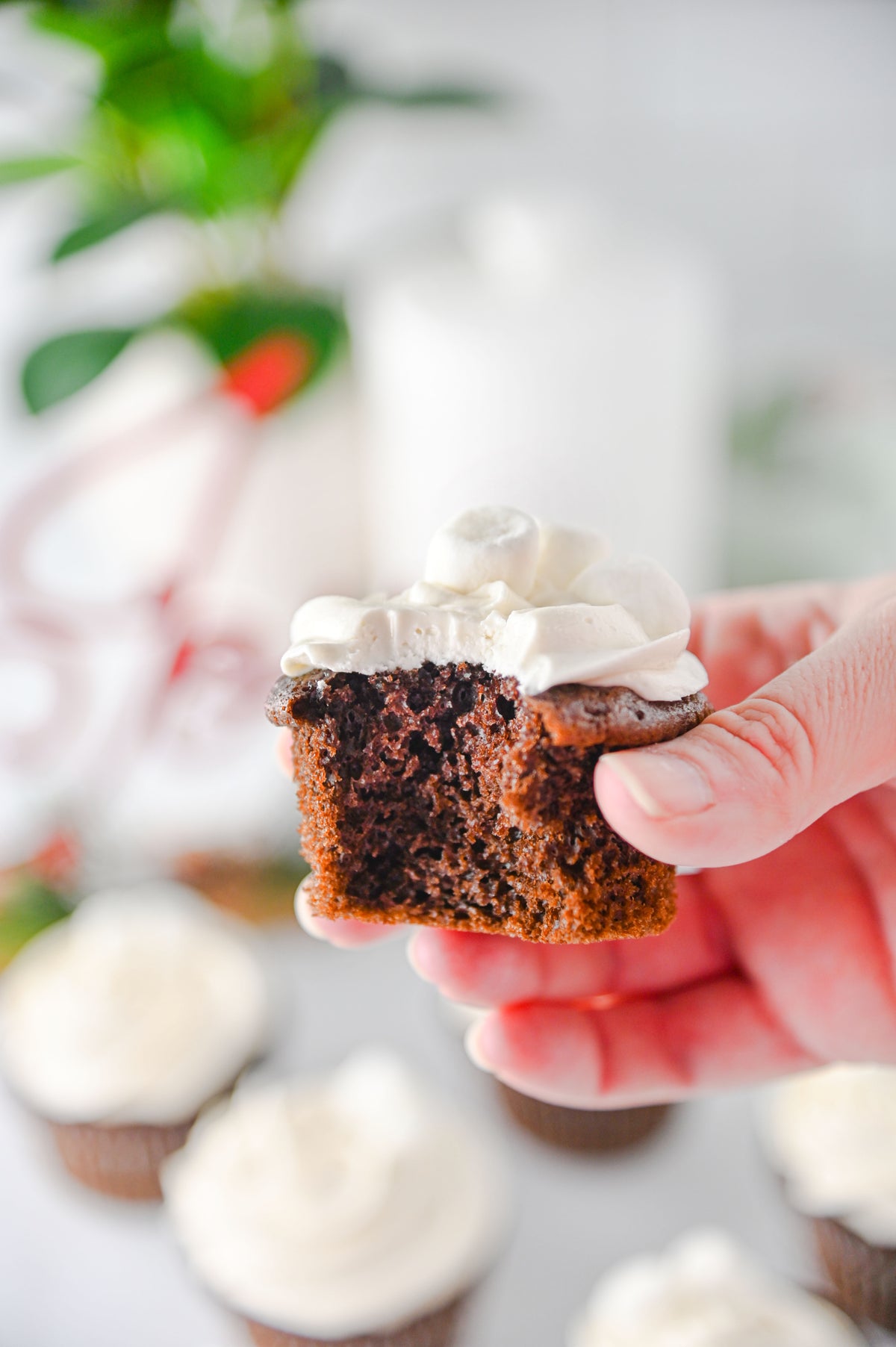 Hot Chocolate Cupcakes Set #2