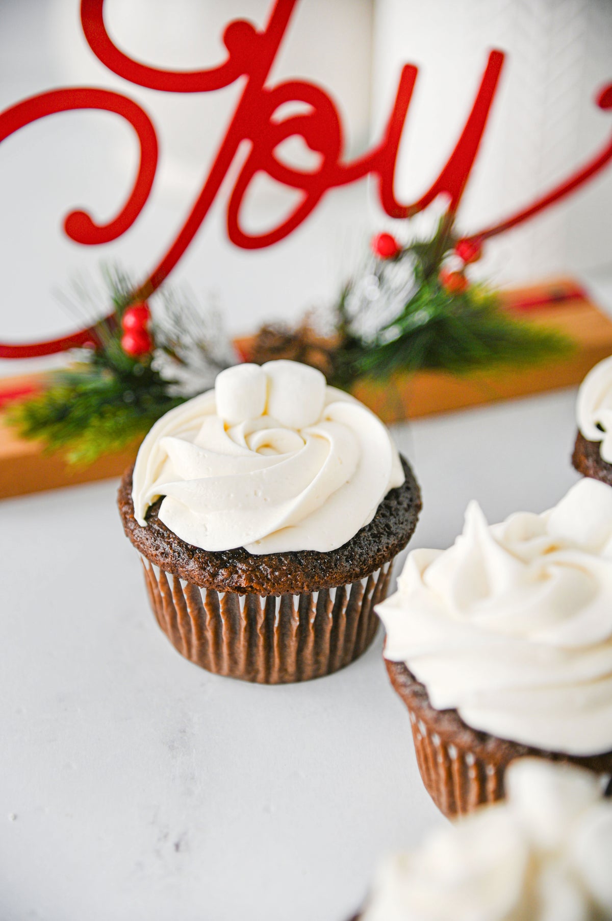 Hot Chocolate Cupcakes Set #2