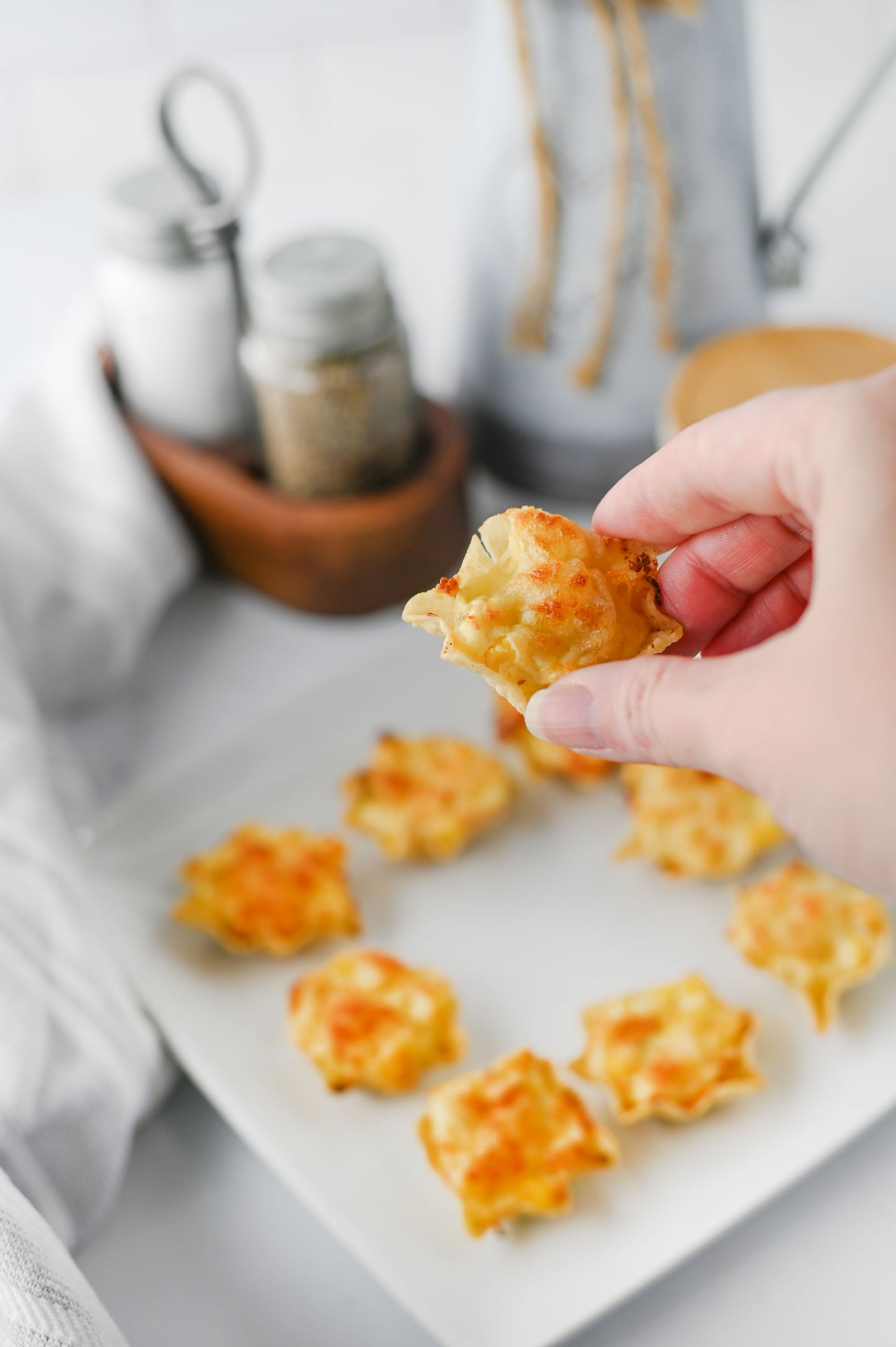 Iowa Party Bites Set #2