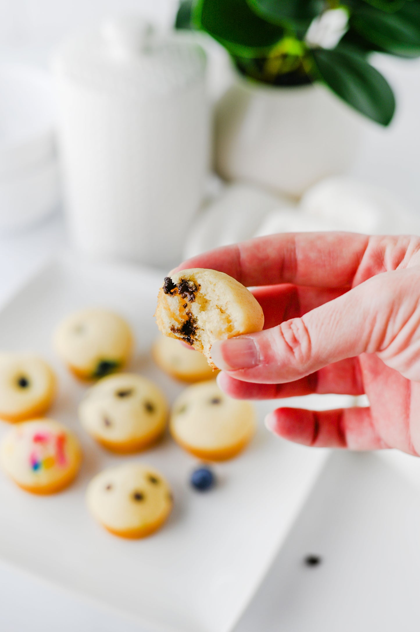 Easy Pancake Bites Set #2