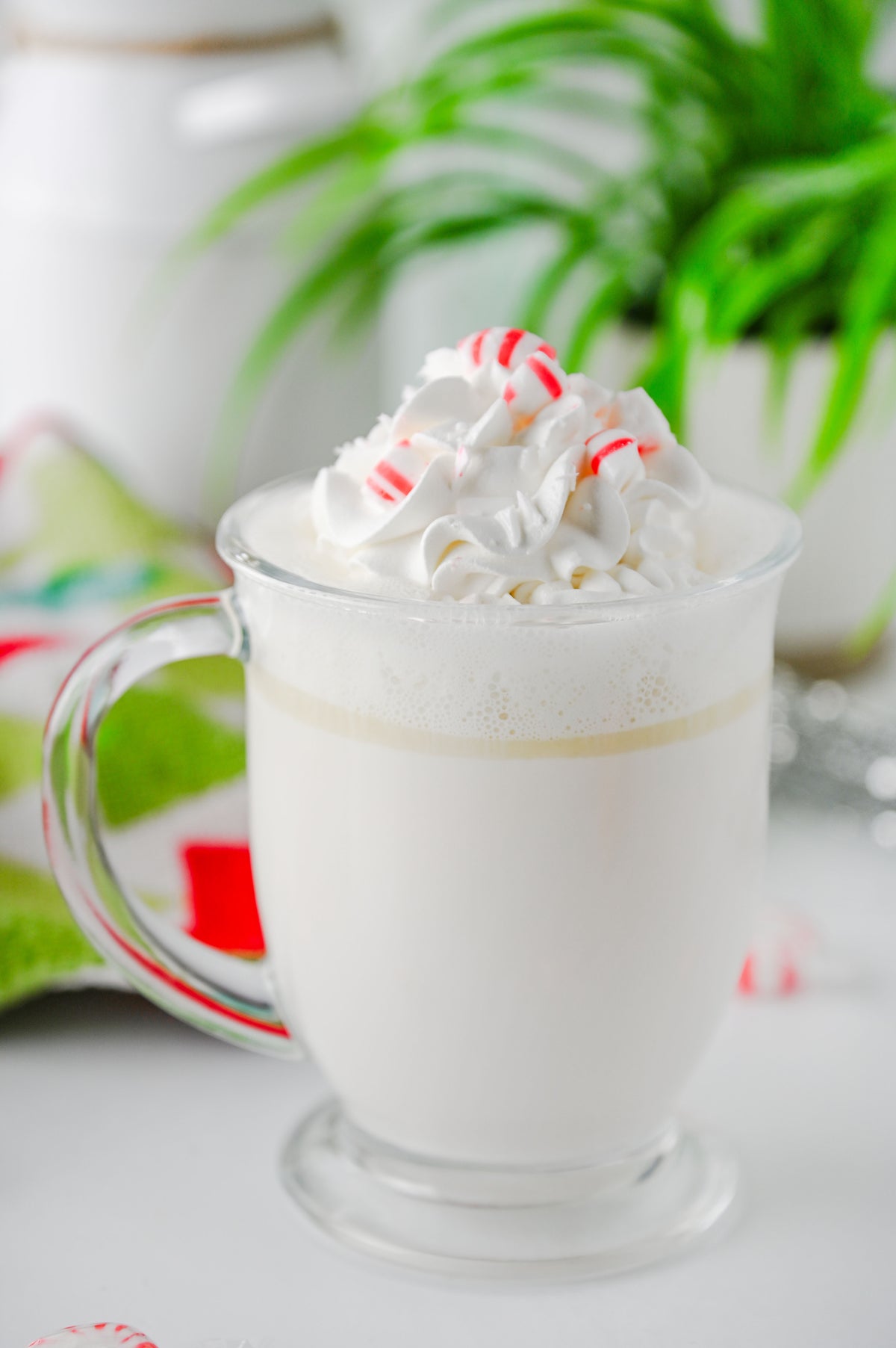 Peppermint White Hot Chocolate (Slow Cooker) Set #2
