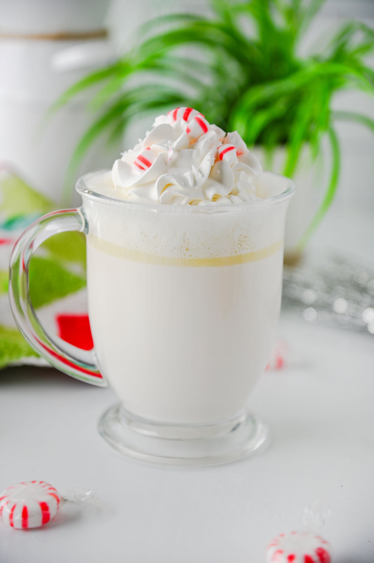 Peppermint White Hot Chocolate (Slow Cooker) Set #2