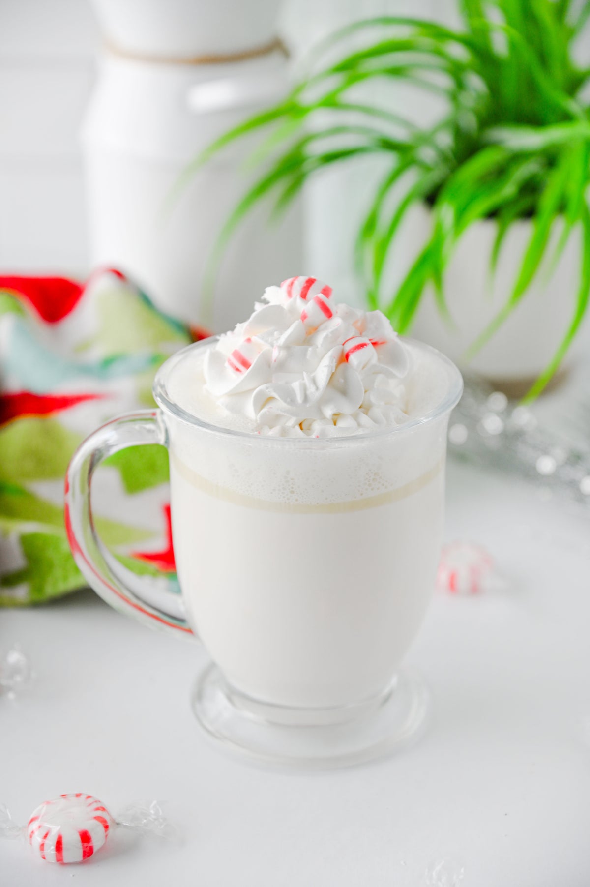 Peppermint White Hot Chocolate (Slow Cooker) Set #2