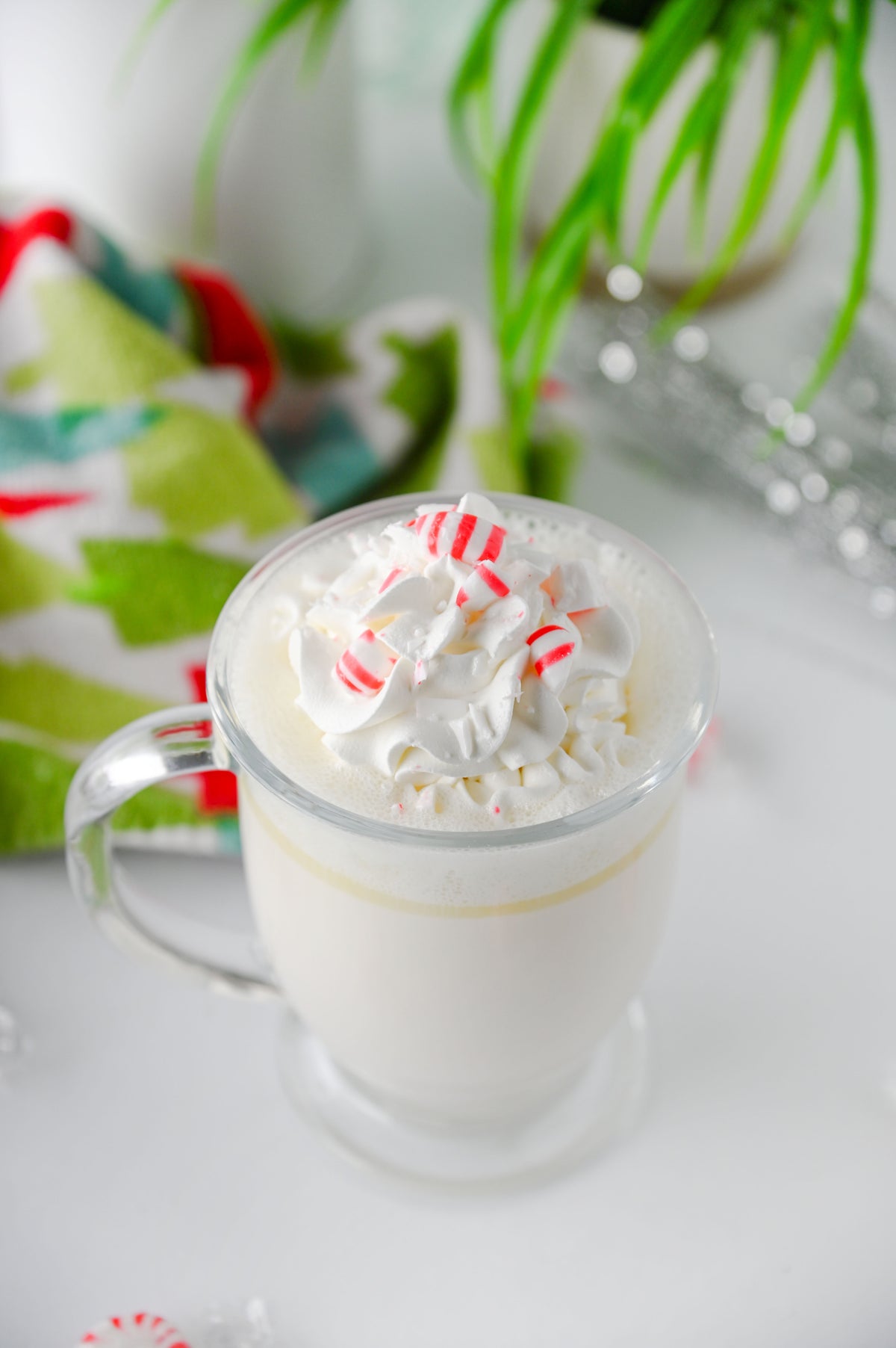 Peppermint White Hot Chocolate (Slow Cooker) Set #2