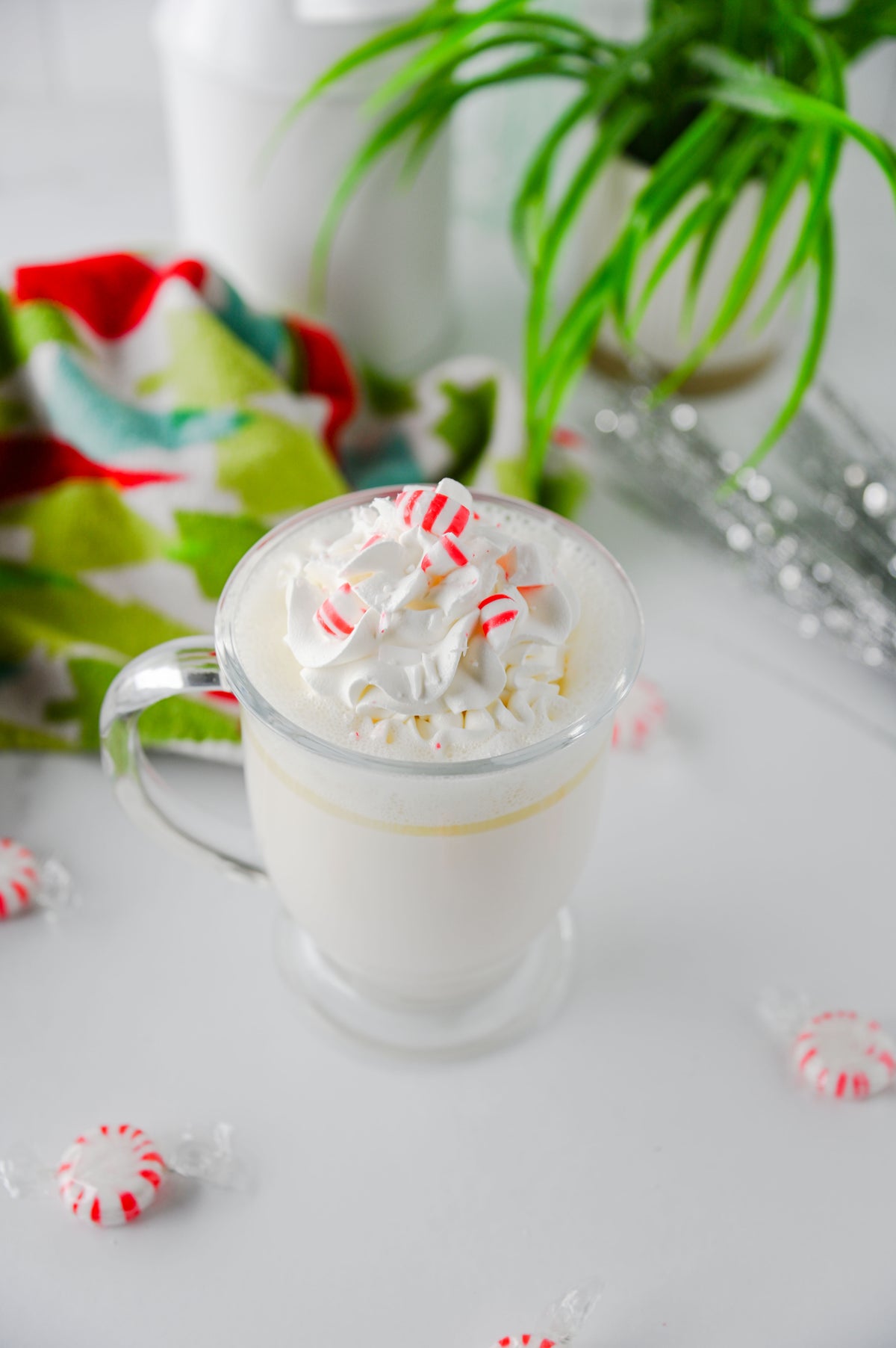Peppermint White Hot Chocolate (Slow Cooker) Set #2