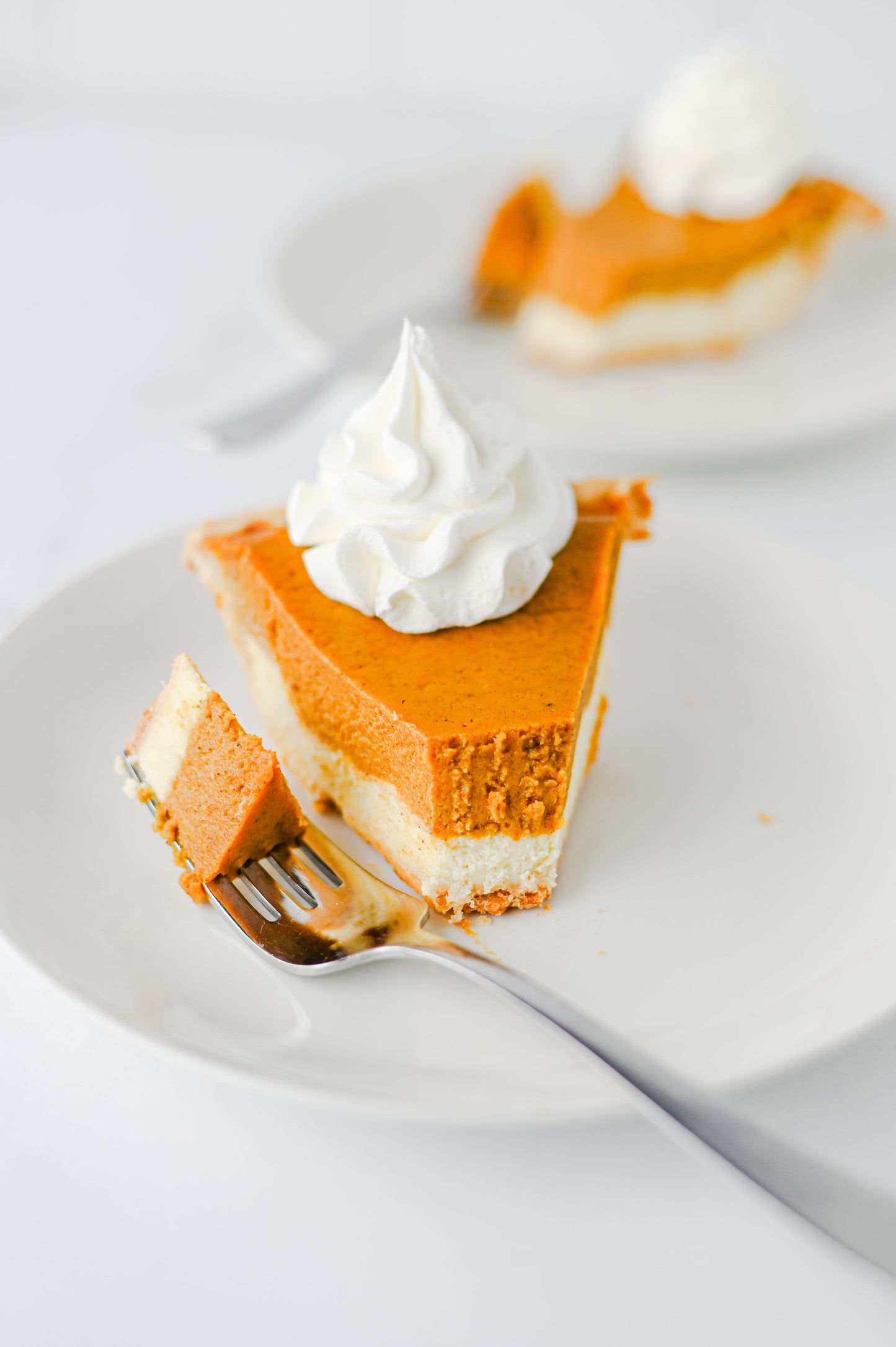 Pumpkin Cheesecake Pie Set #2