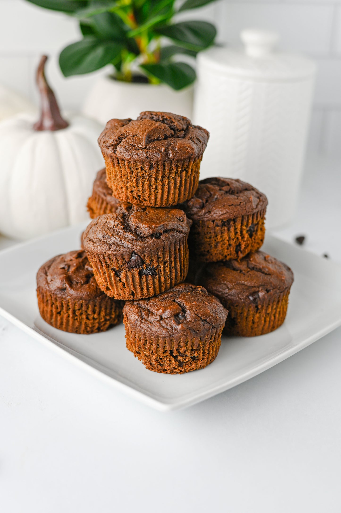 Pumpkin Chocolate Muffins Set #2
