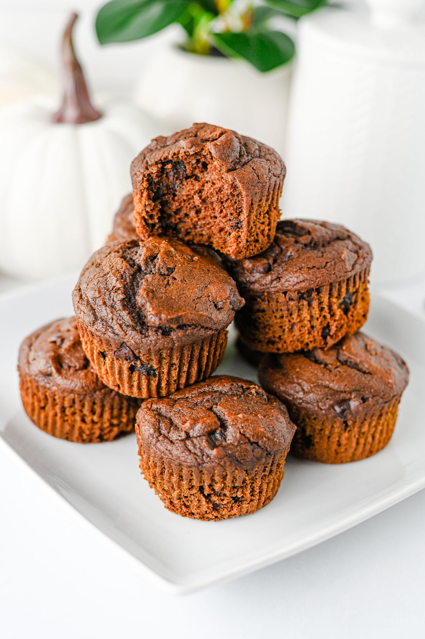 Pumpkin Chocolate Muffins Set #2