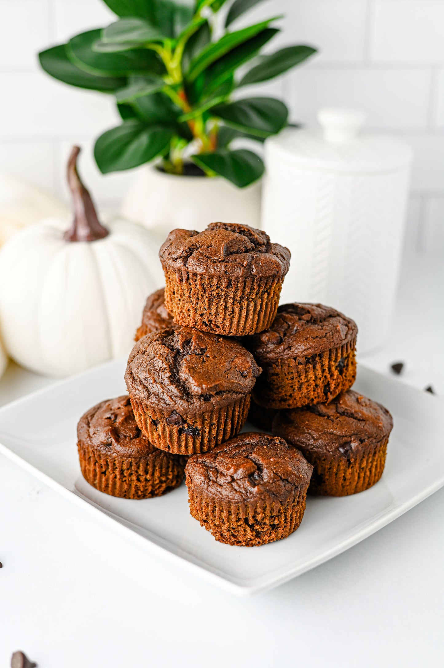 Pumpkin Chocolate Muffins Set #2