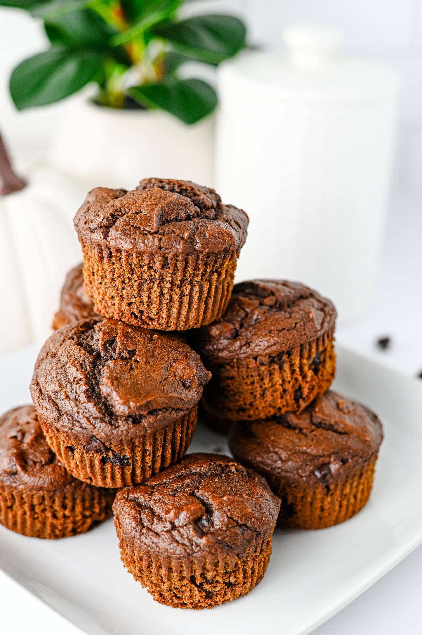 Pumpkin Chocolate Muffins Set #2