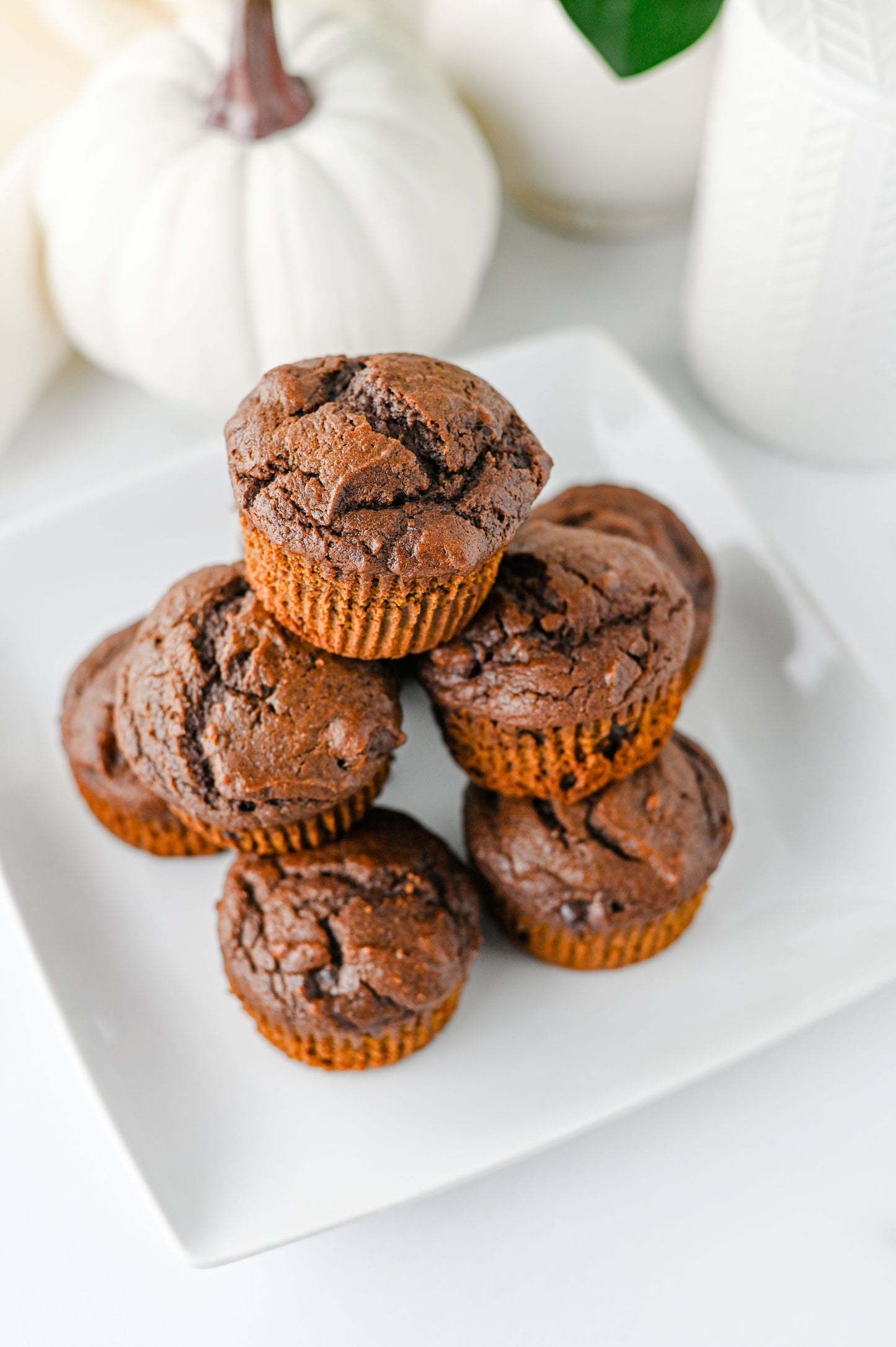 Pumpkin Chocolate Muffins Set #2