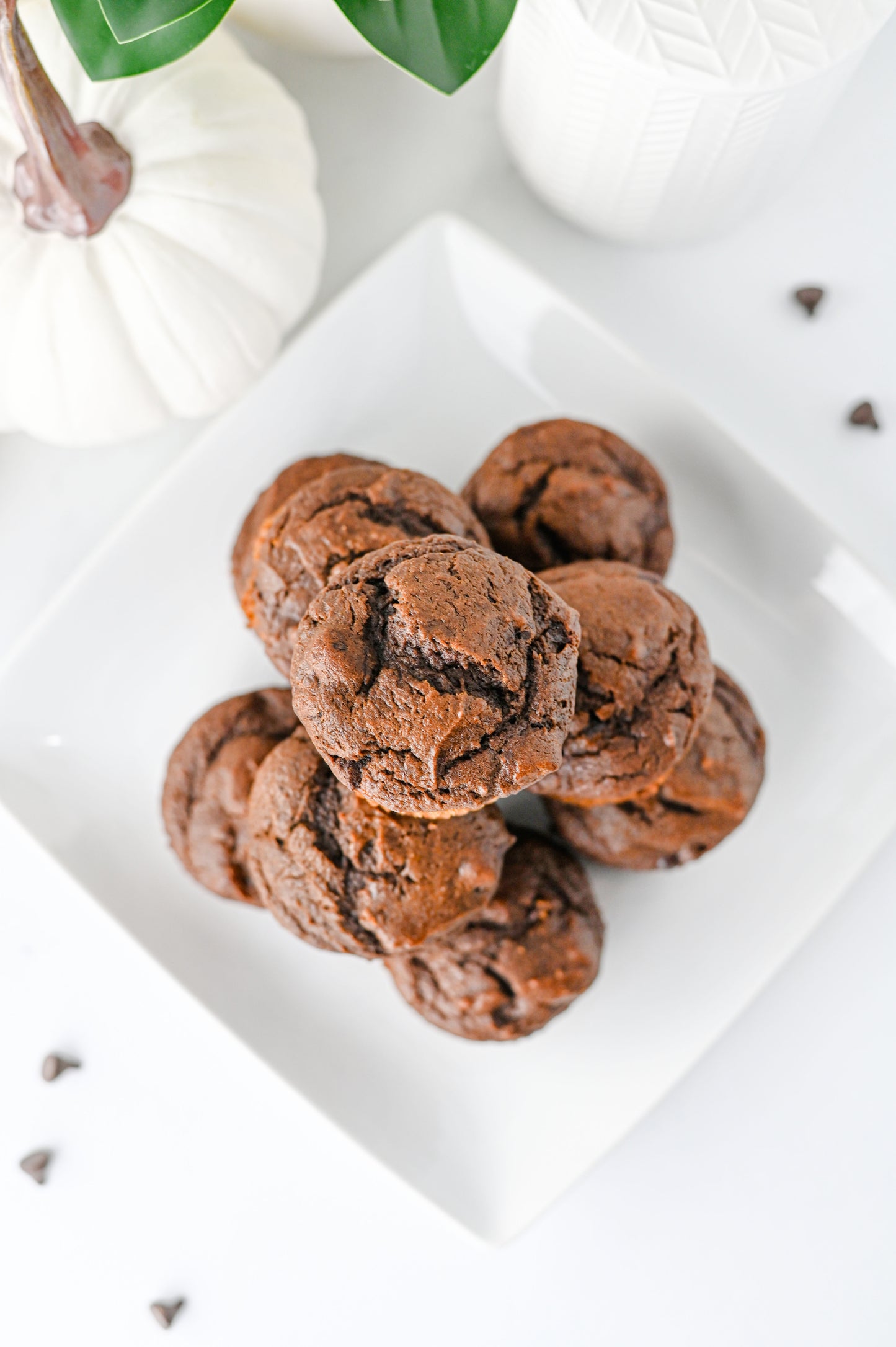 Pumpkin Chocolate Muffins Set #2