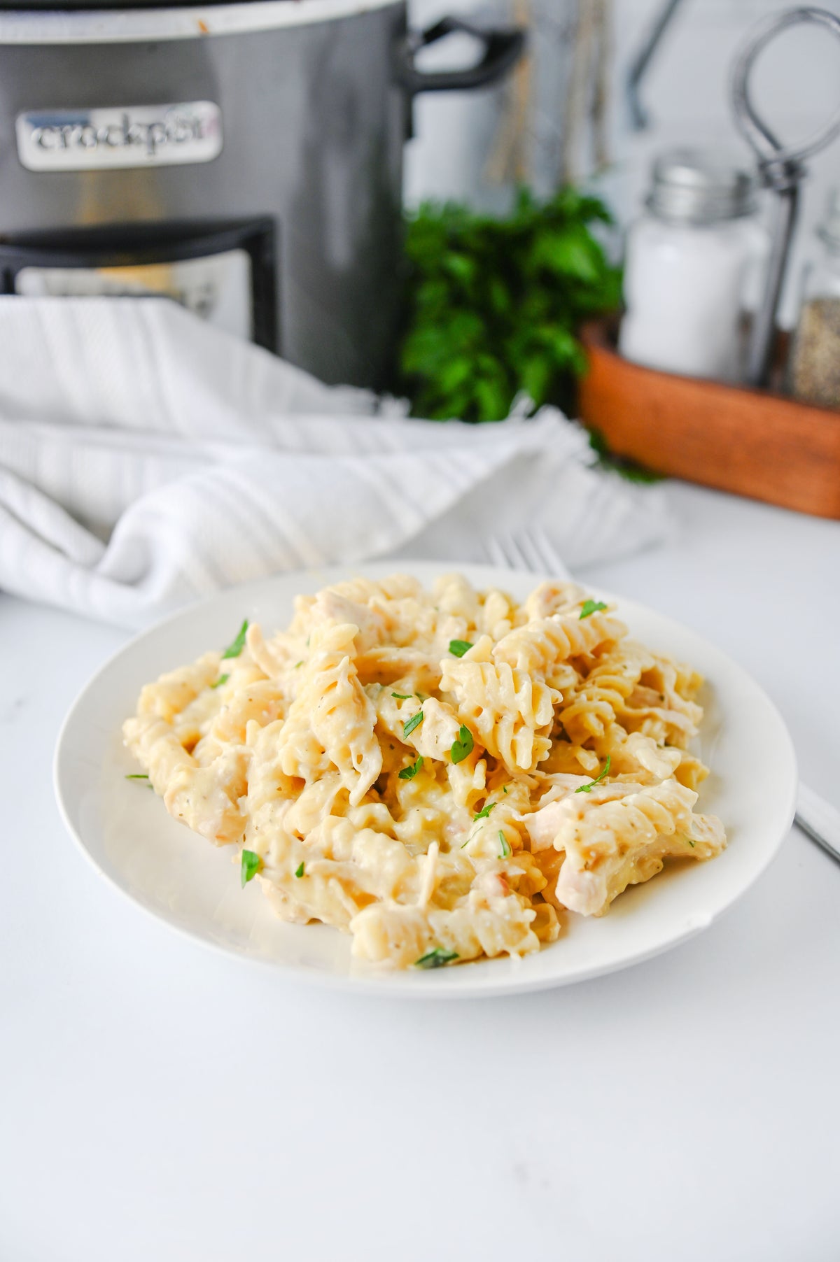 Slow Cooker Ranch Chicken Set #2