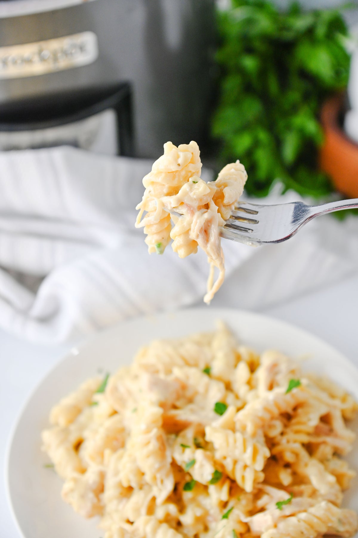 Slow Cooker Ranch Chicken Set #2