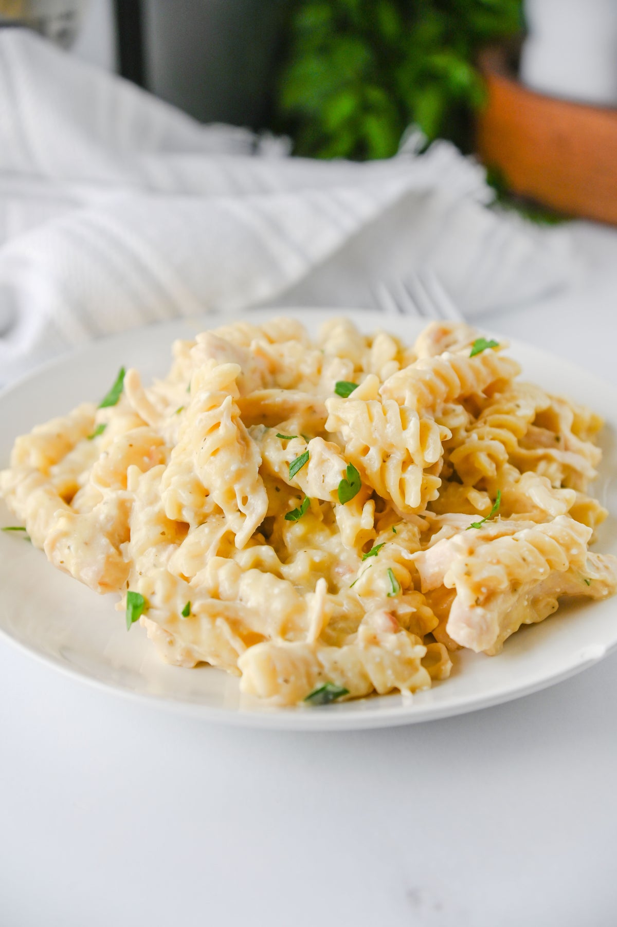 Slow Cooker Ranch Chicken Set #2