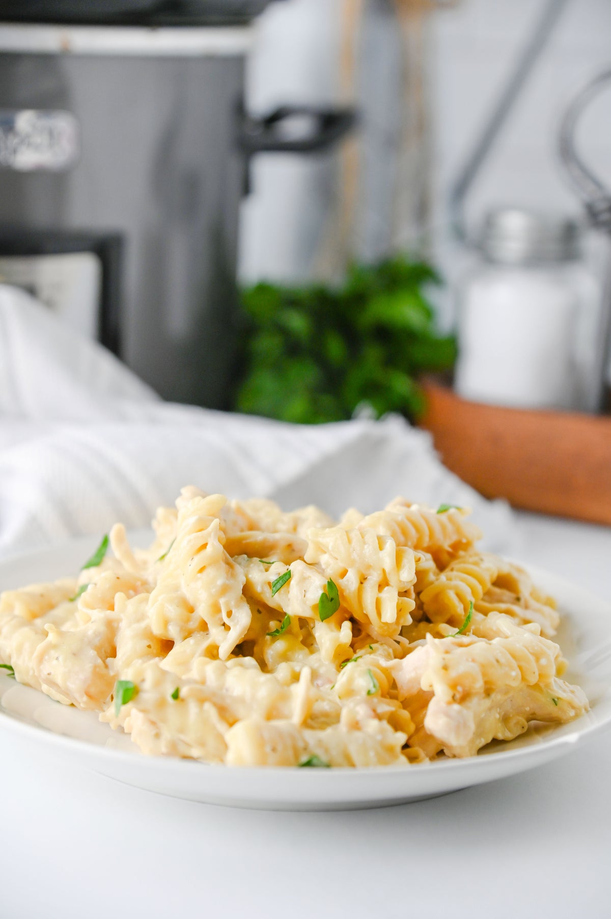 Slow Cooker Ranch Chicken Set #2