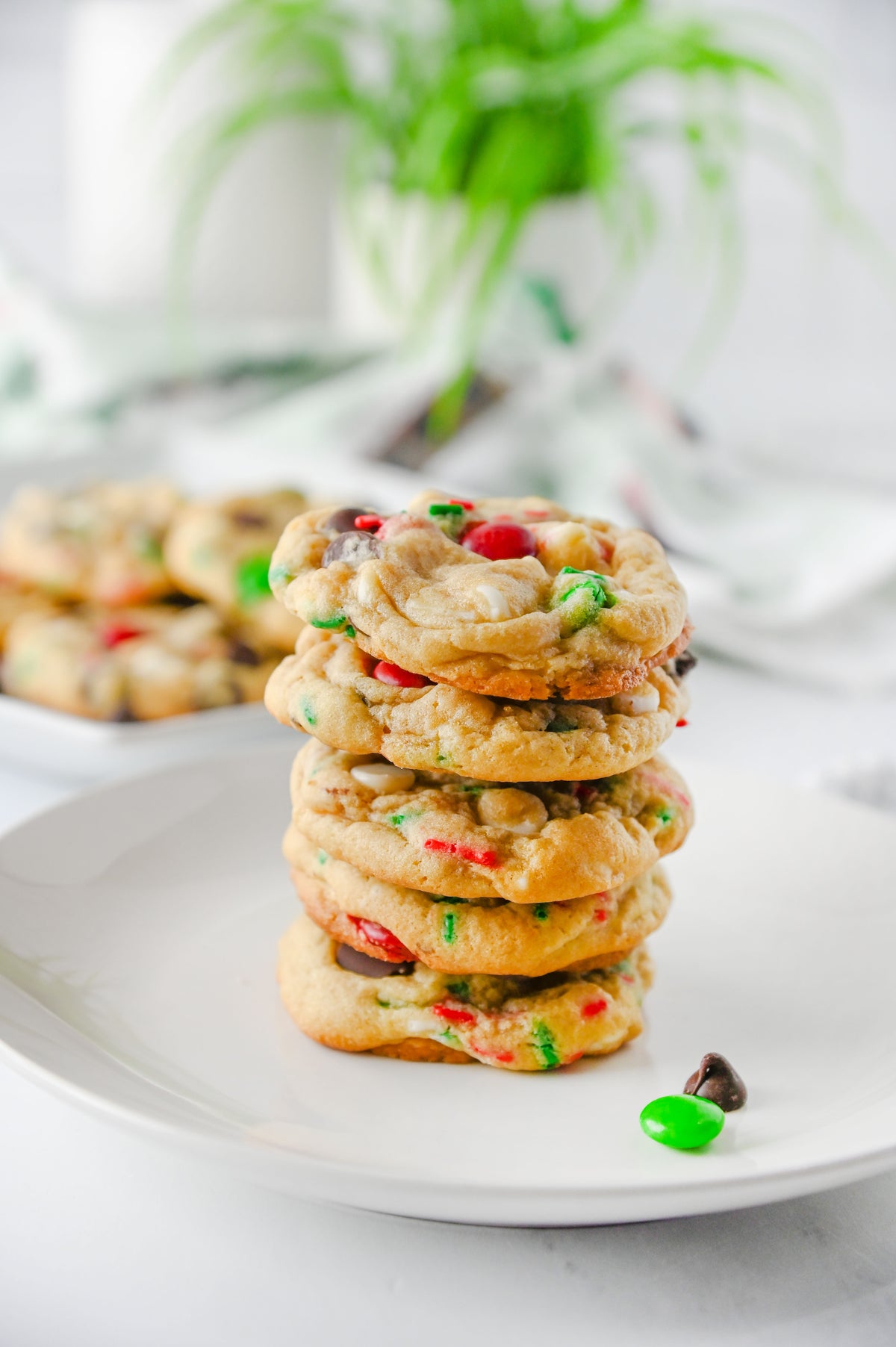 Santa's Favorite Cookies Set #2
