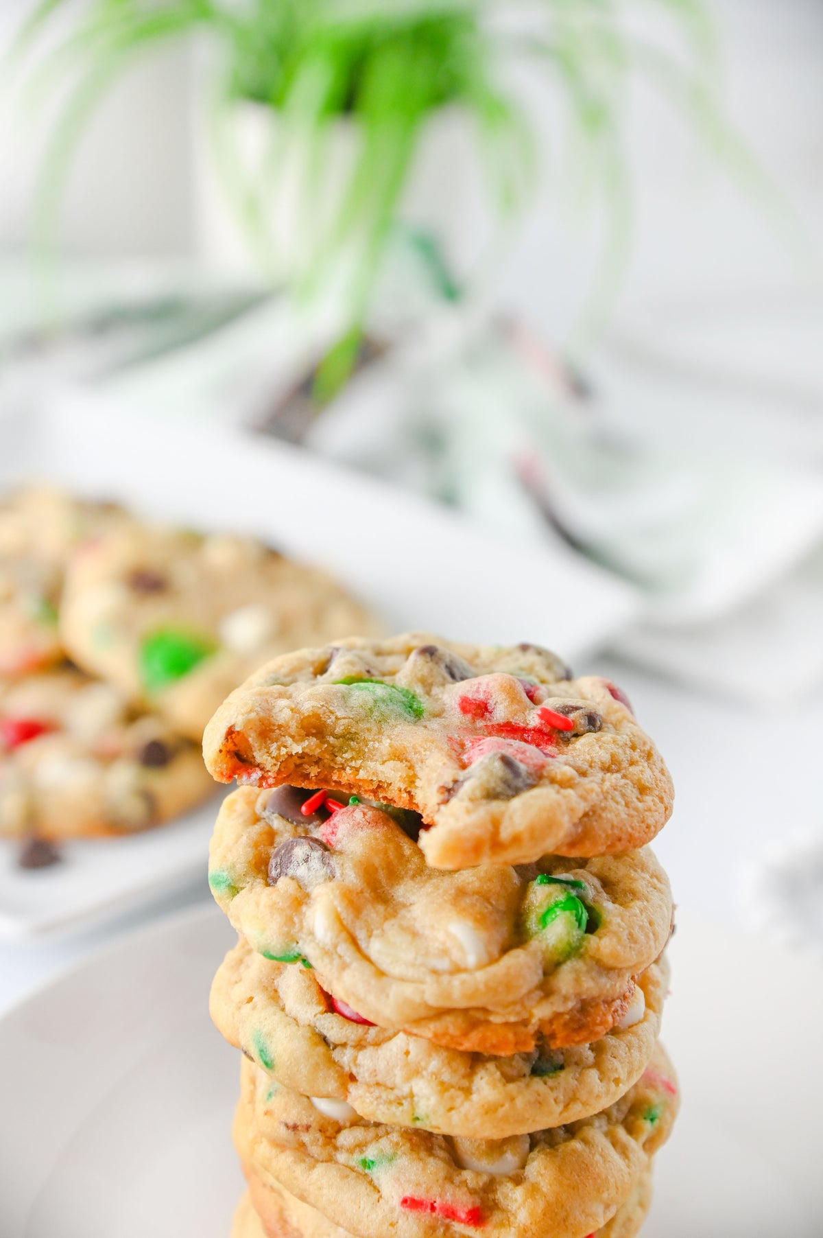 Santa's Favorite Cookies Set #2
