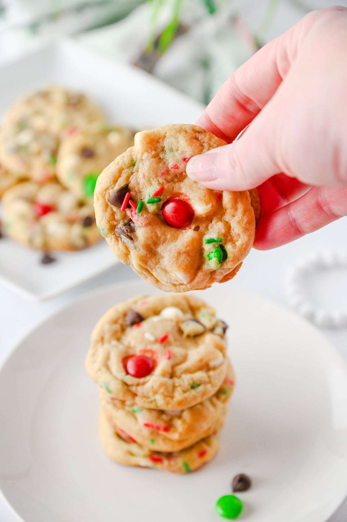 Santa's Favorite Cookies Set #2