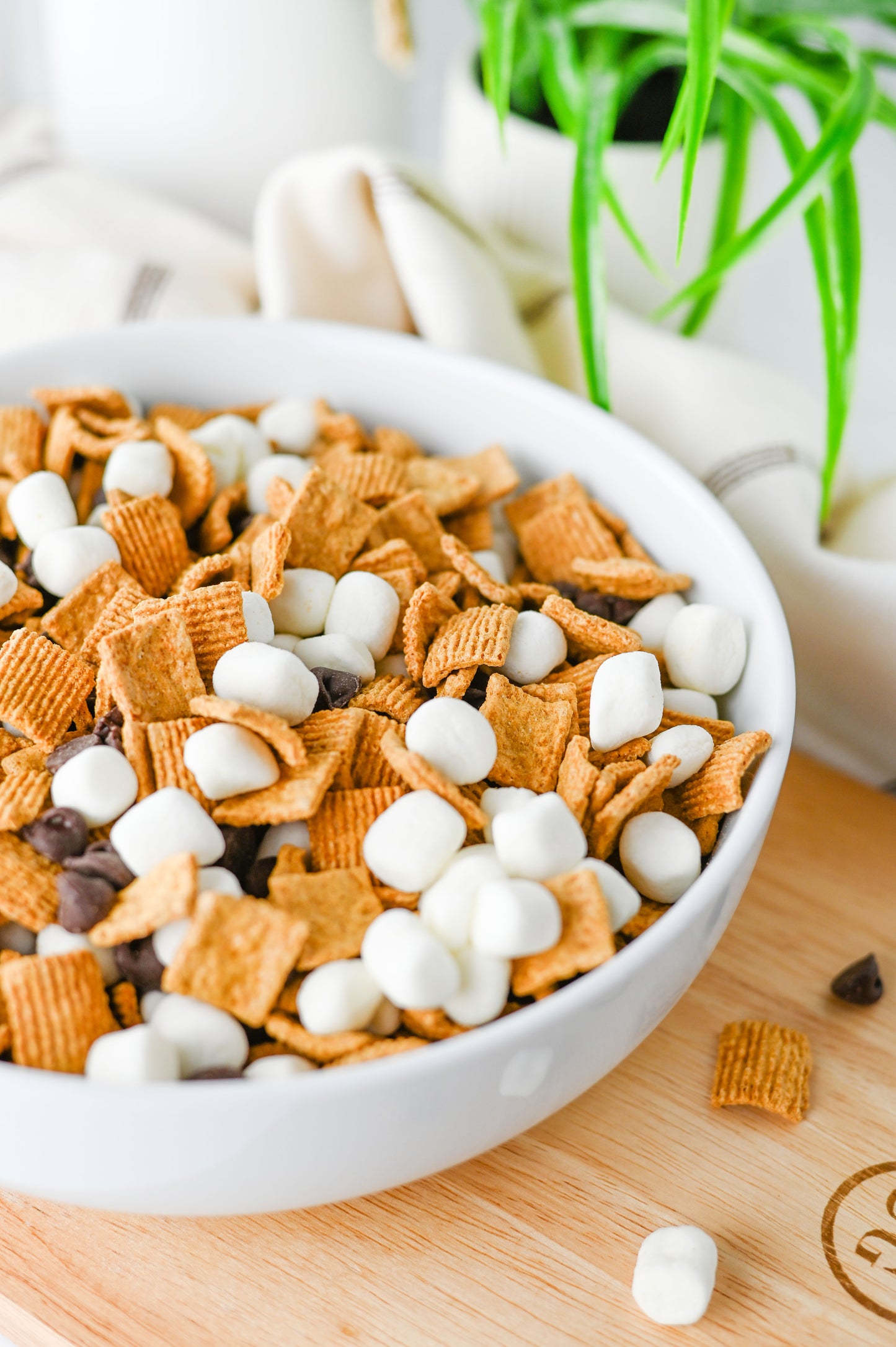 S'mores Snack Mix Set #2