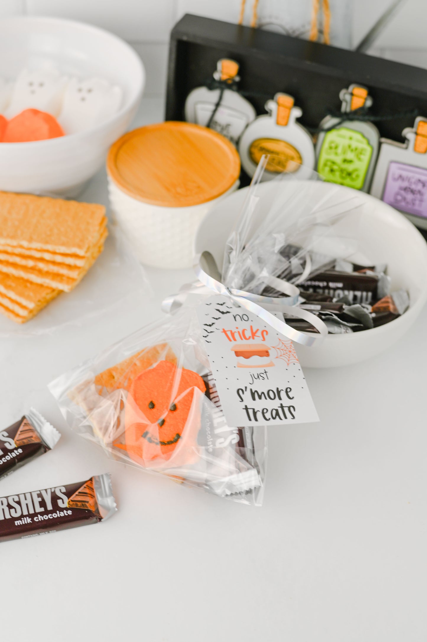 S'more Treats Treat Bag Set #2