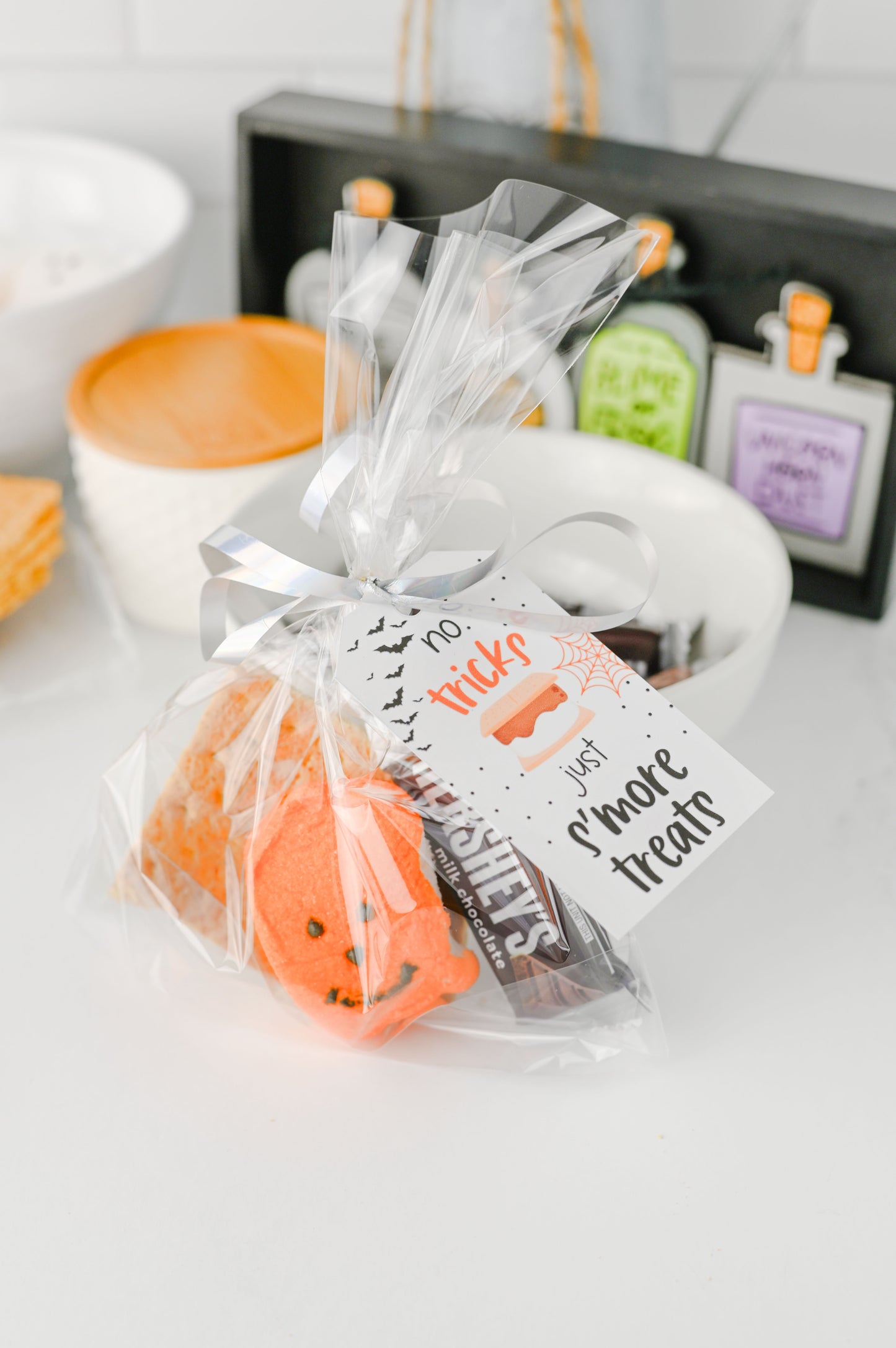 S'more Treats Treat Bag Set #2