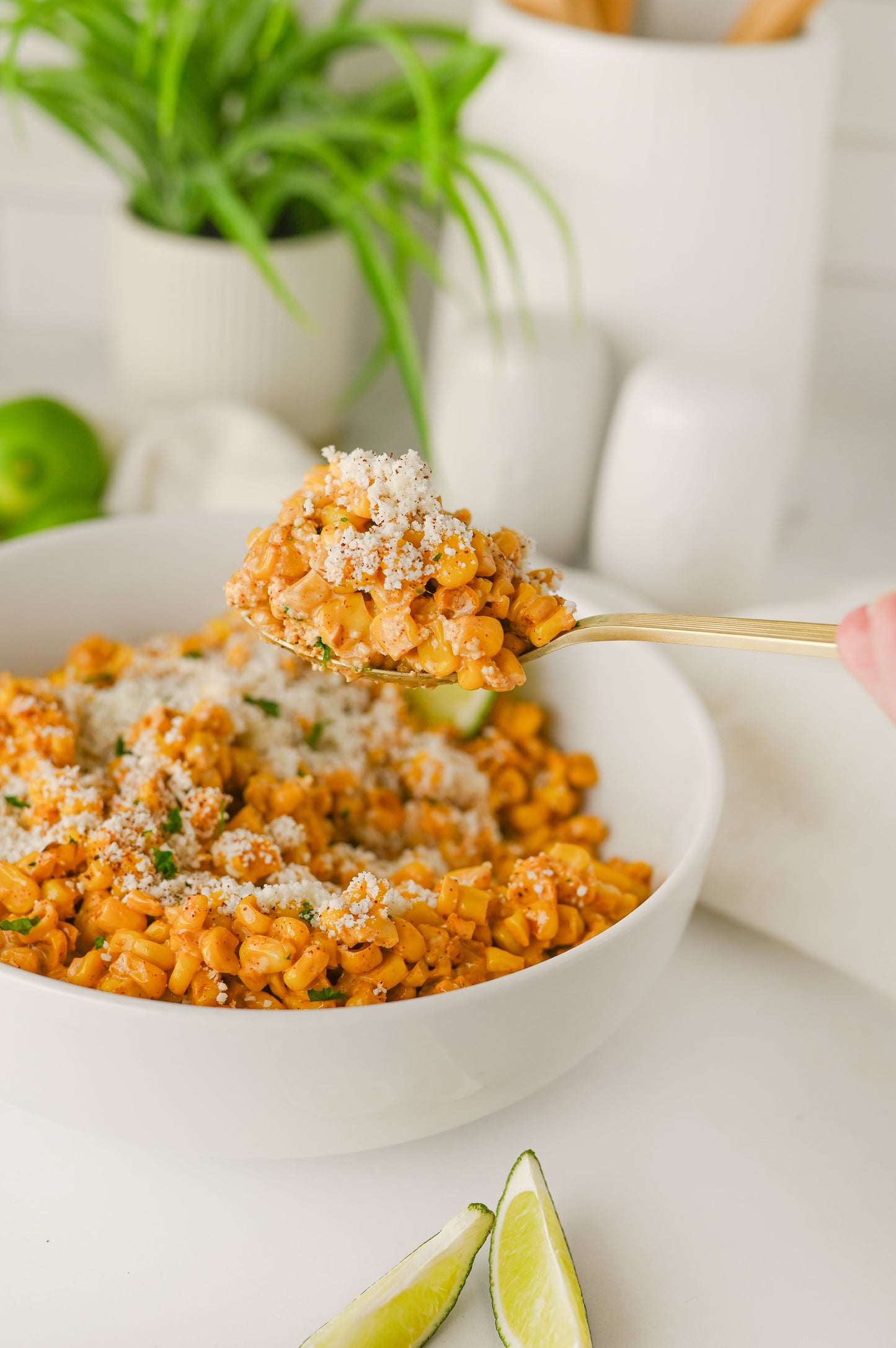 Elote/Street Corn off the Cob Set #2