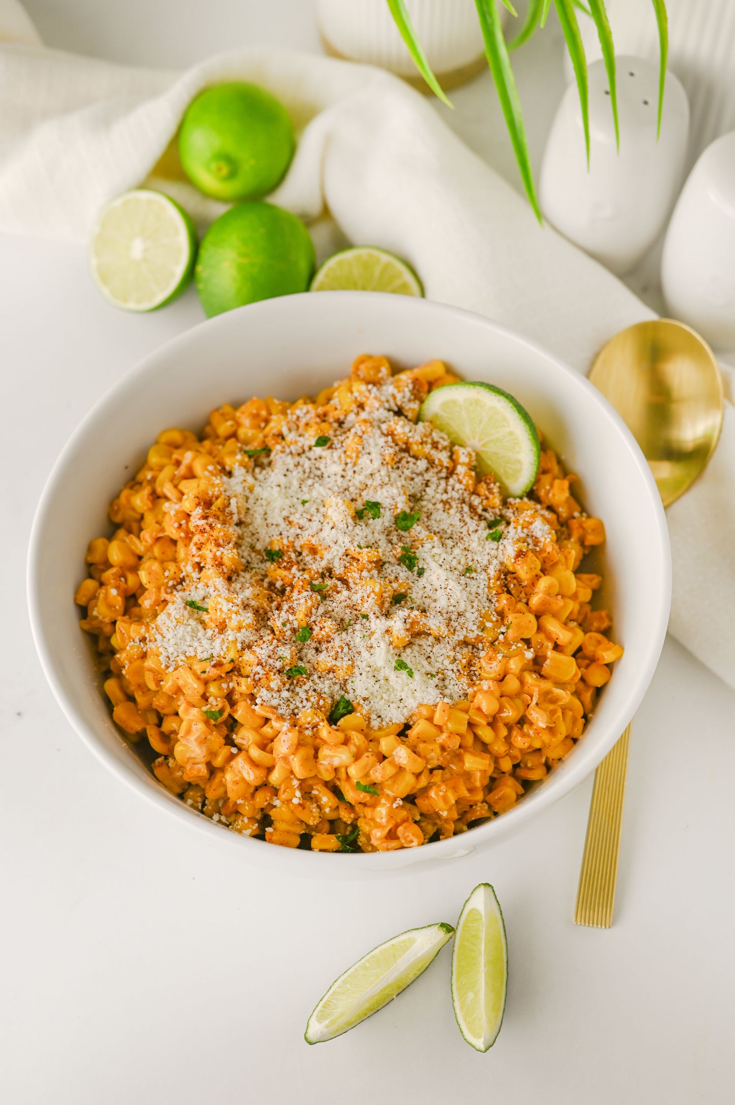 Elote/Street Corn off the Cob Set #2