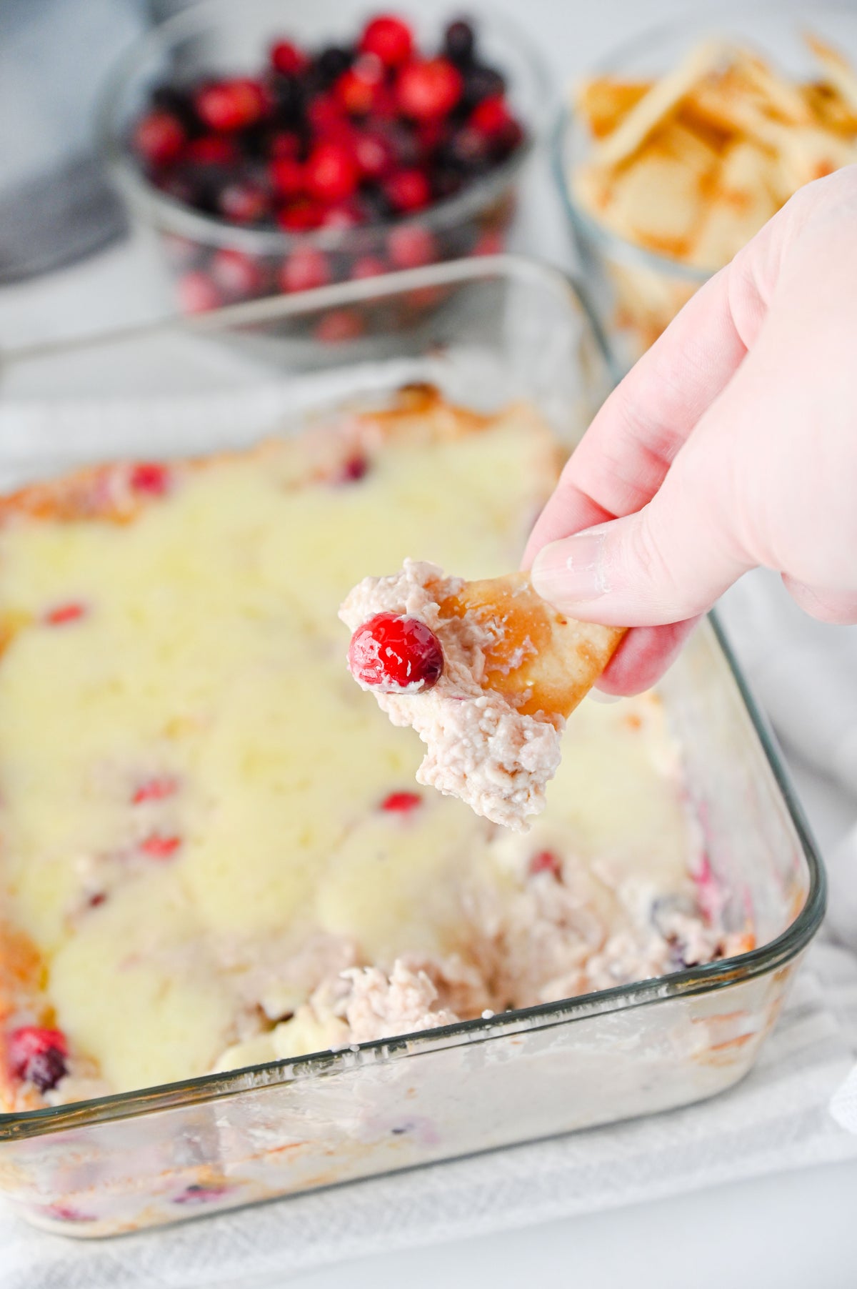 White Cheddar Cranberry Dip Set #2