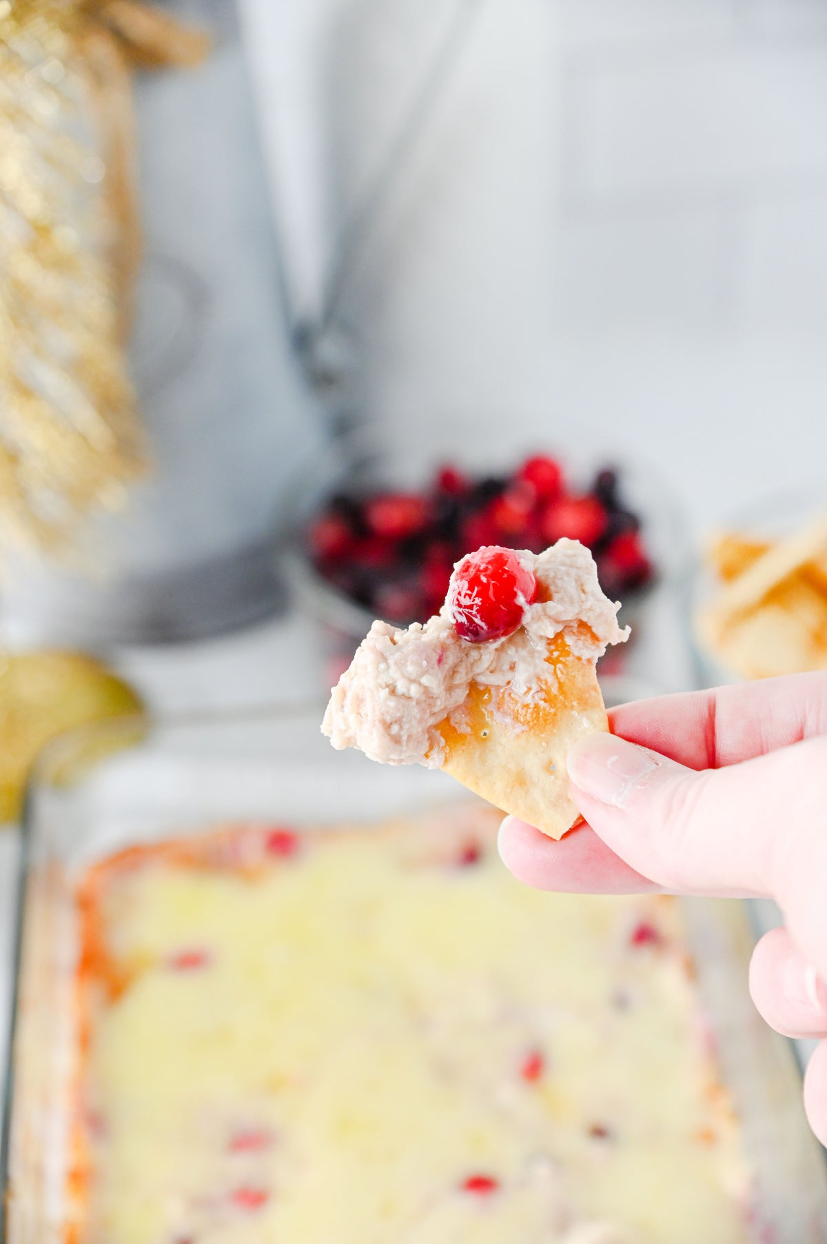 White Cheddar Cranberry Dip Set #2