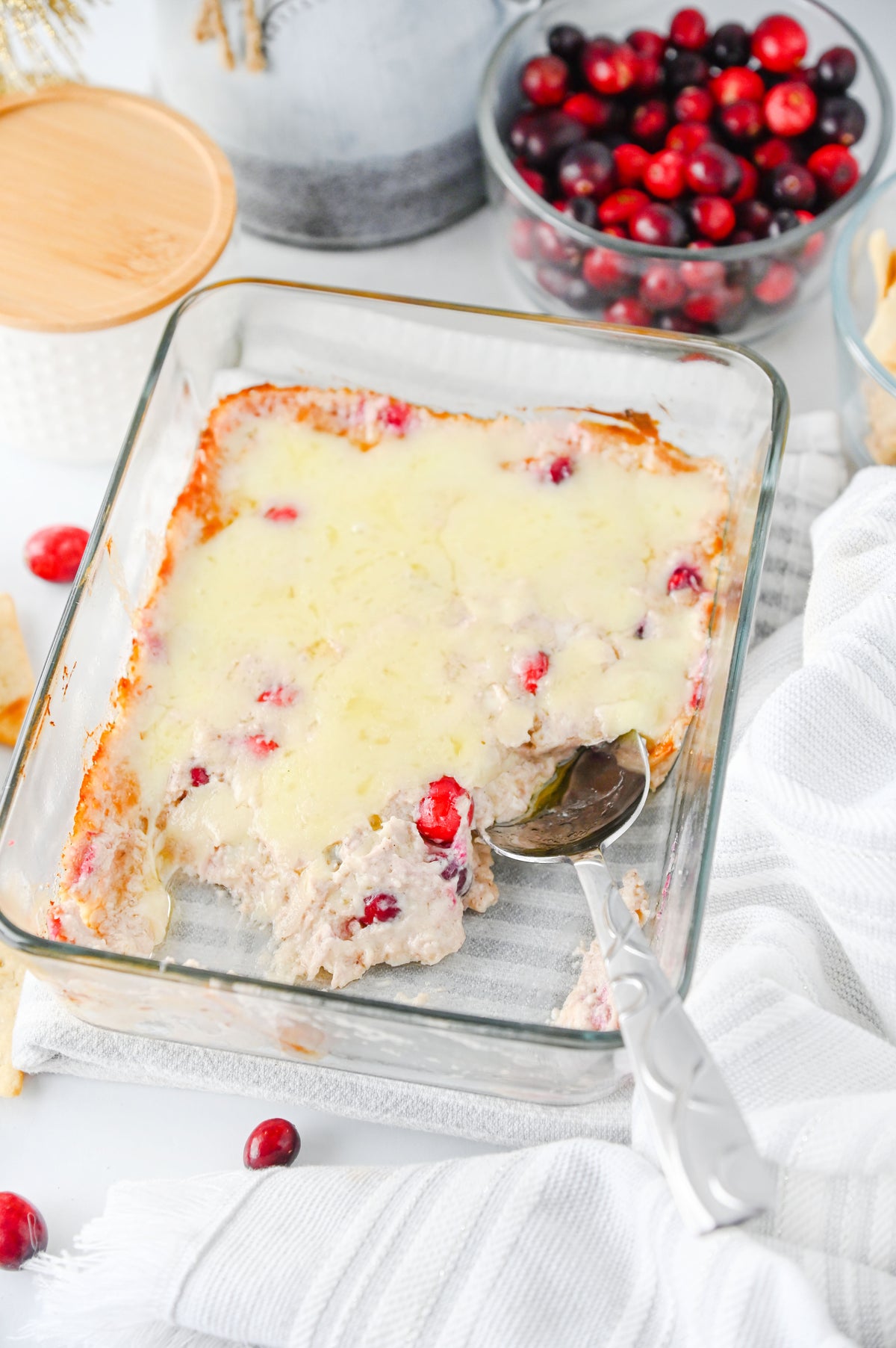 White Cheddar Cranberry Dip Set #2