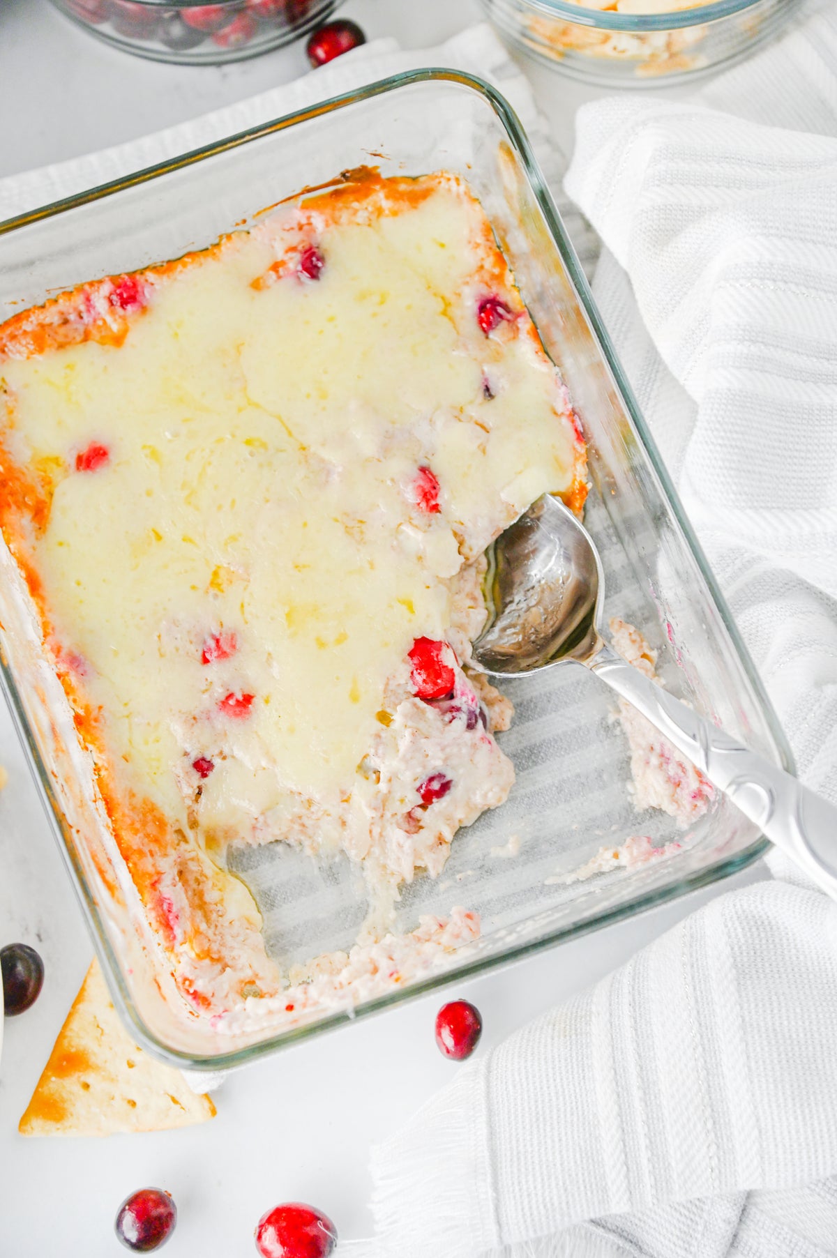 White Cheddar Cranberry Dip Set #2