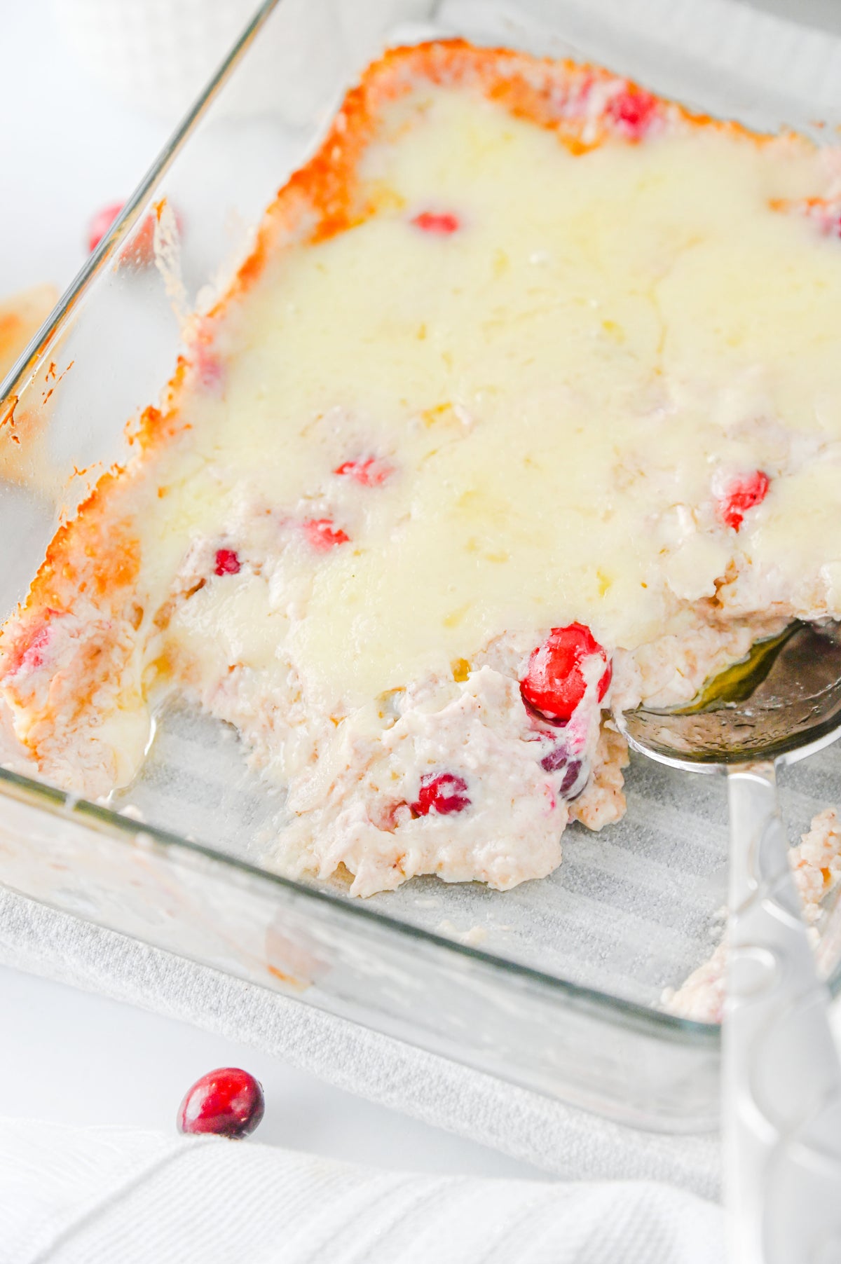White Cheddar Cranberry Dip Set #2