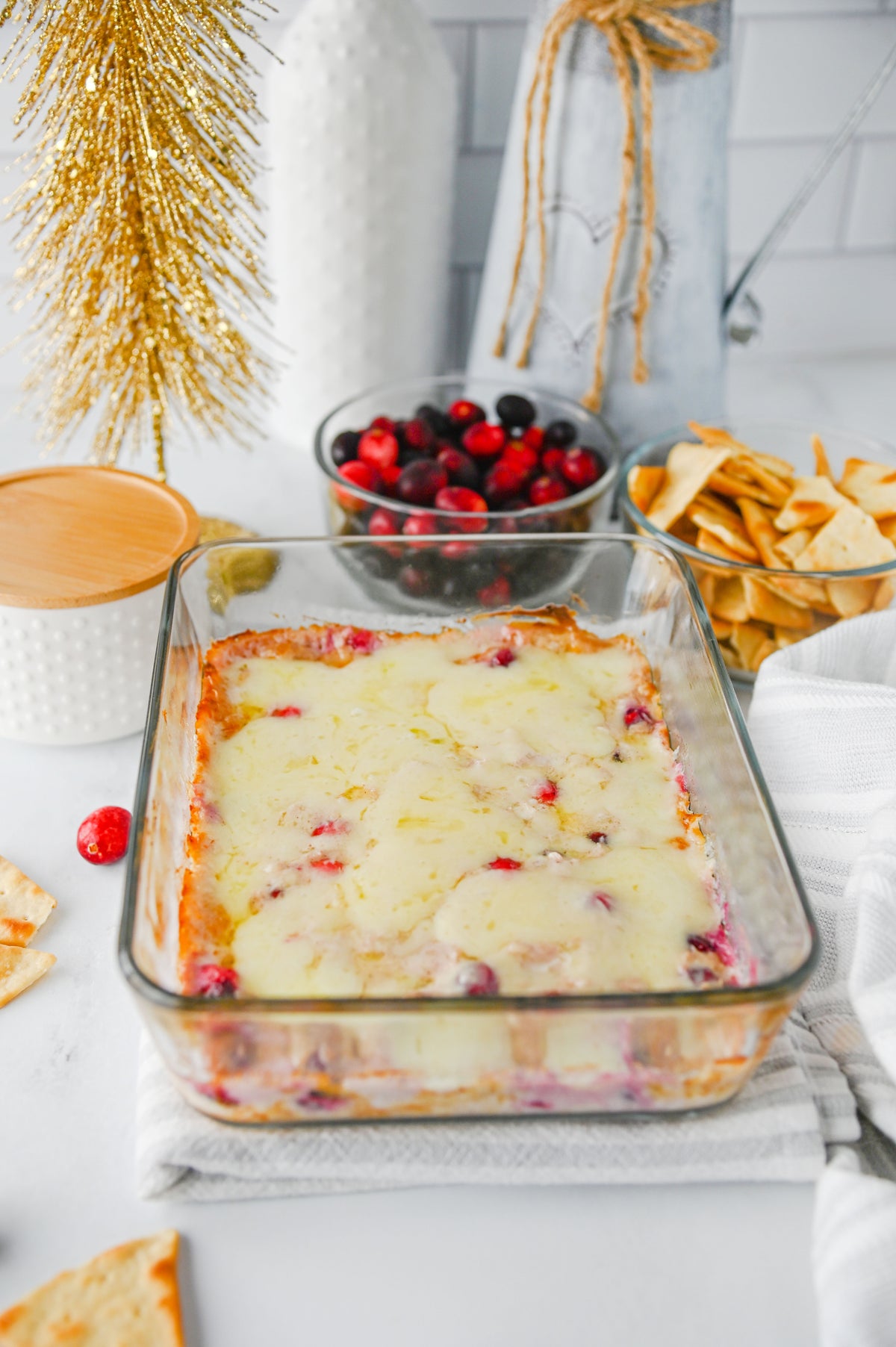 White Cheddar Cranberry Dip Set #2